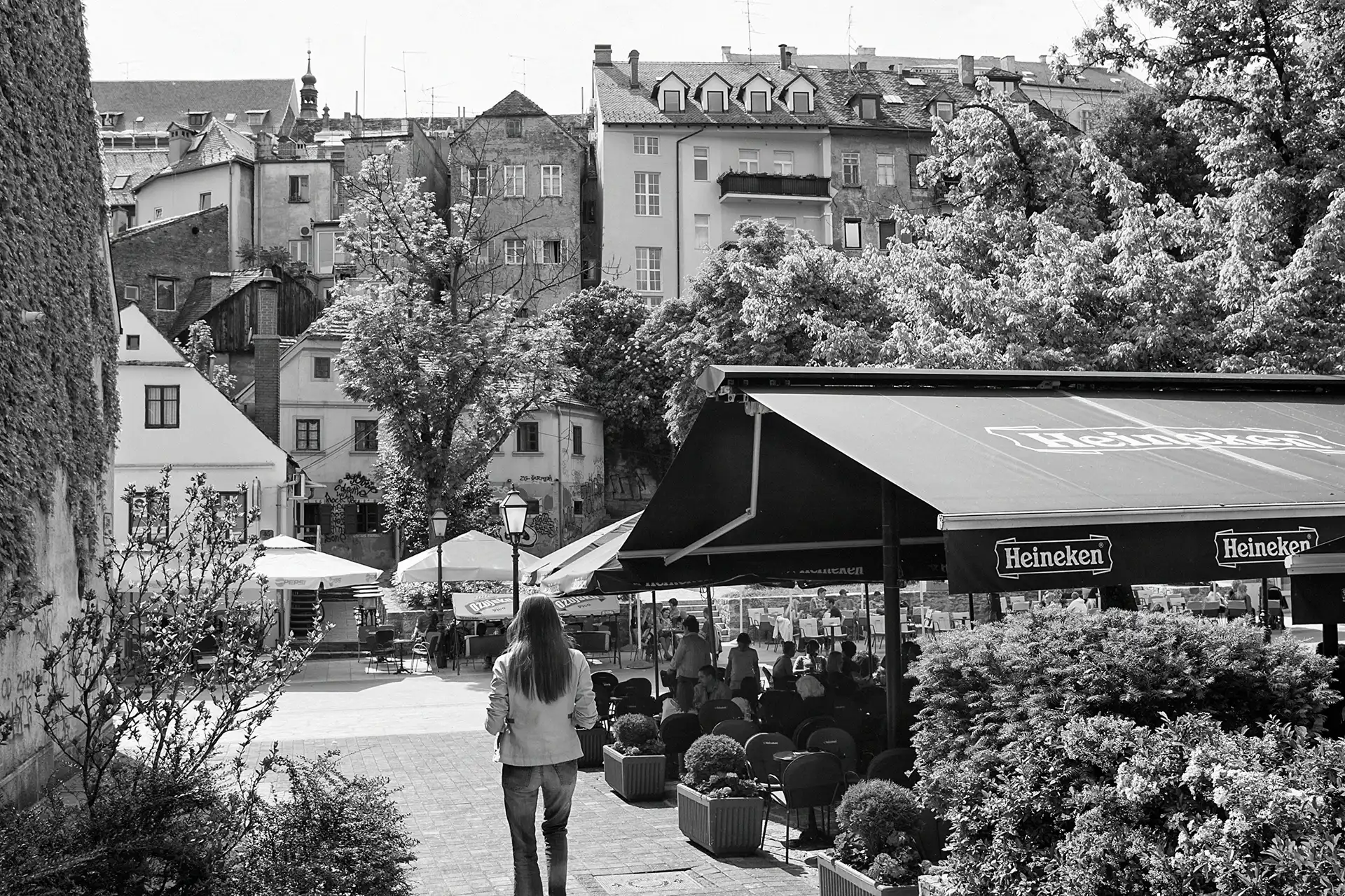 Gonçalo Cunha de Sá