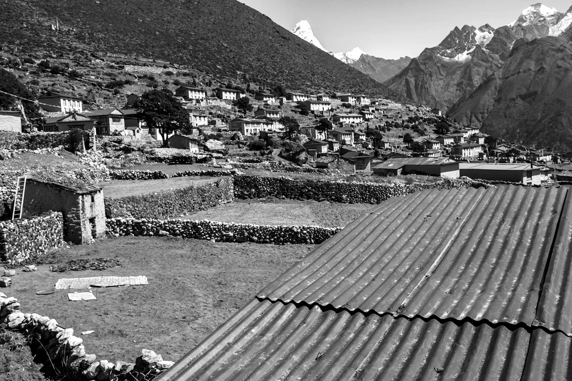 Gonçalo Cunha de Sá