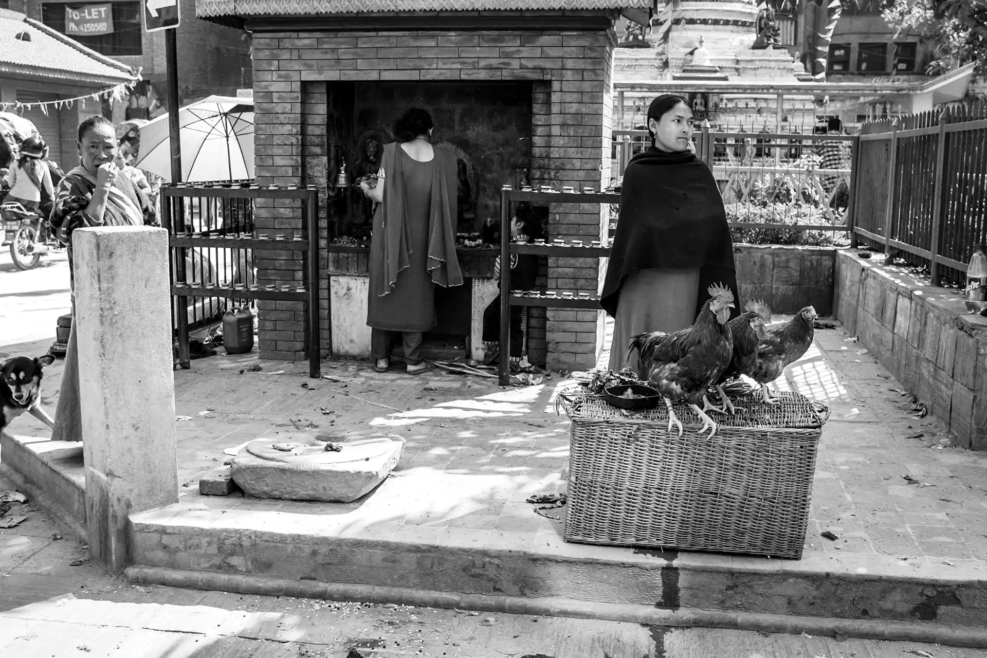 Gonçalo Cunha de Sá