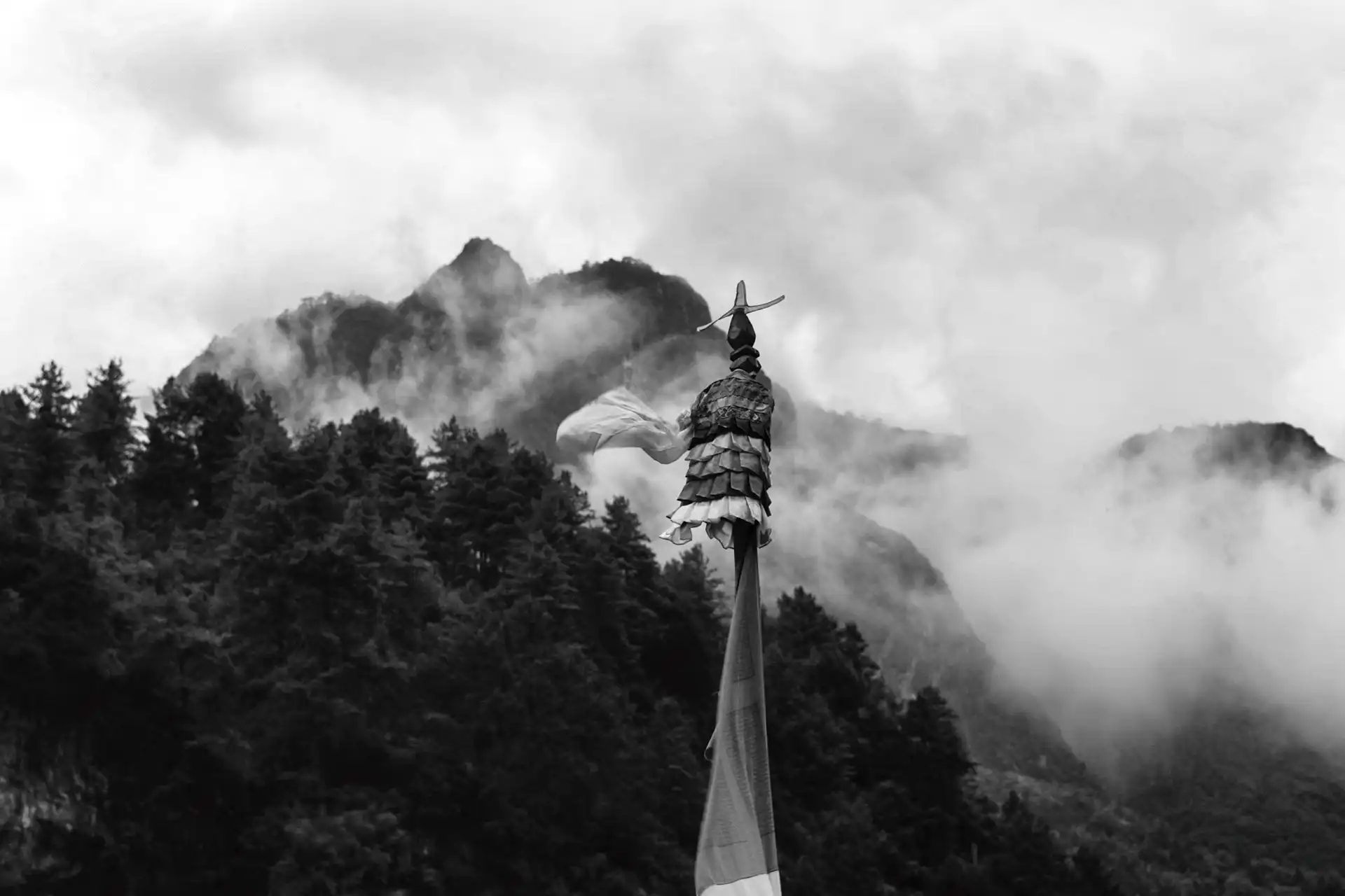 Gonçalo Cunha de Sá