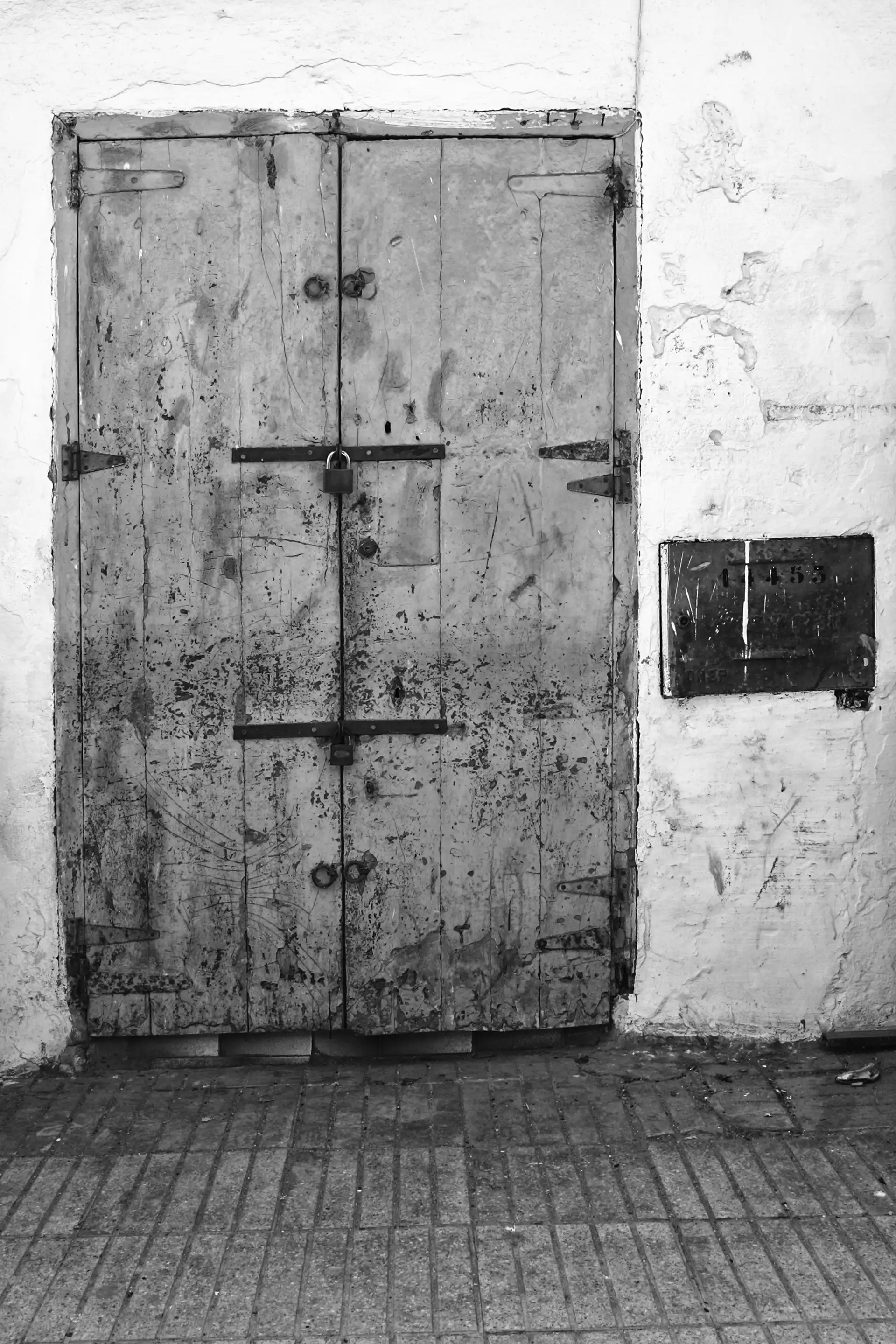 Gonçalo Cunha de Sá