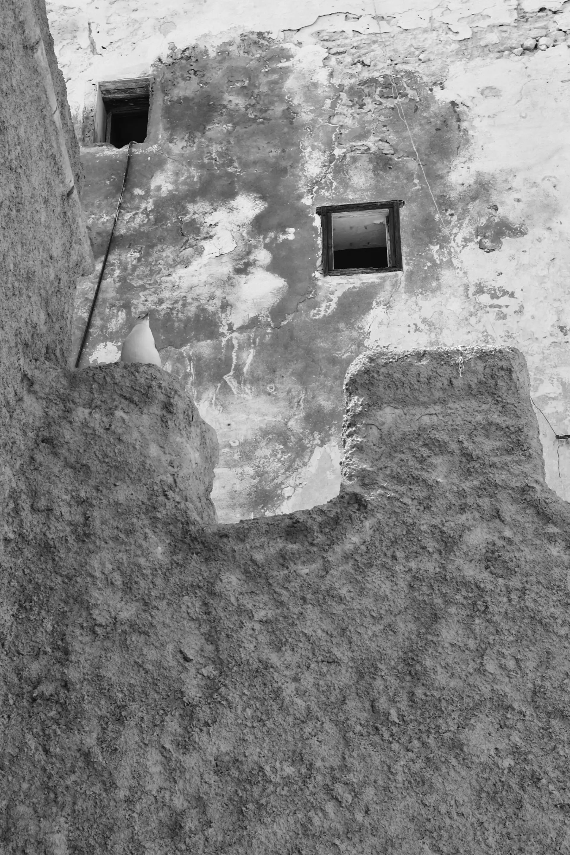 Gonçalo Cunha de Sá