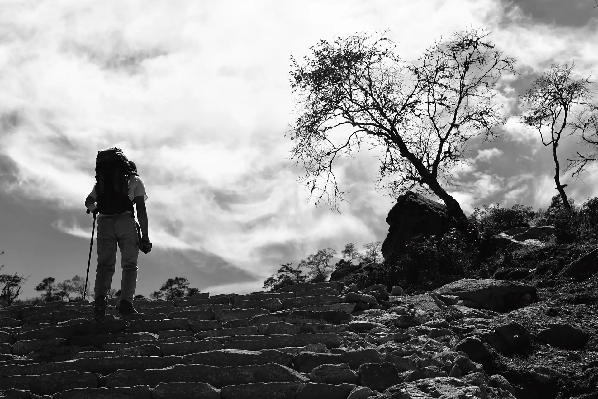Gonçalo Cunha de Sá