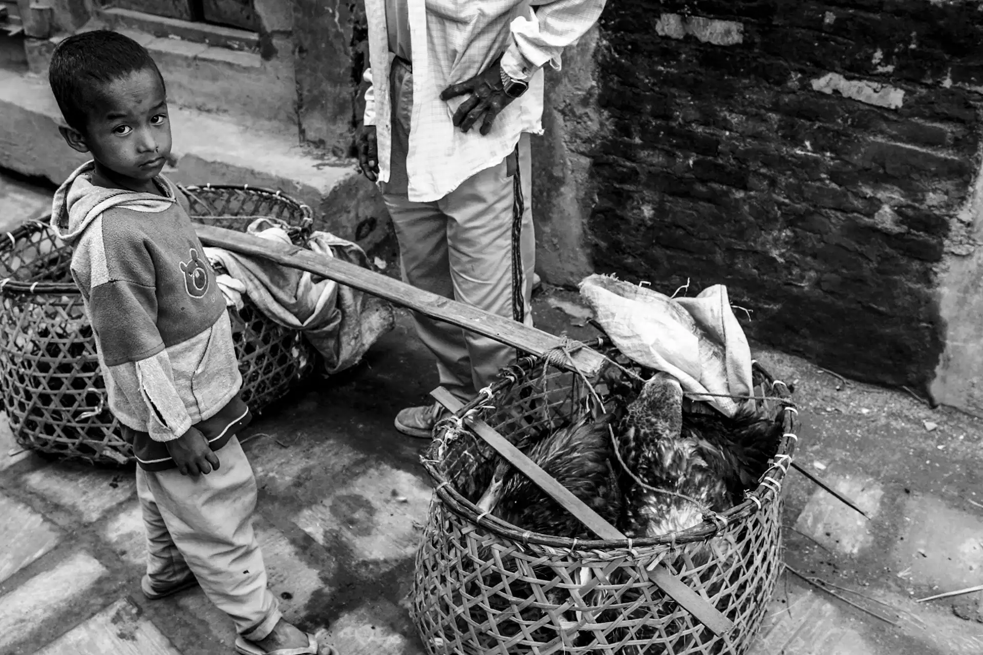 Gonçalo Cunha de Sá