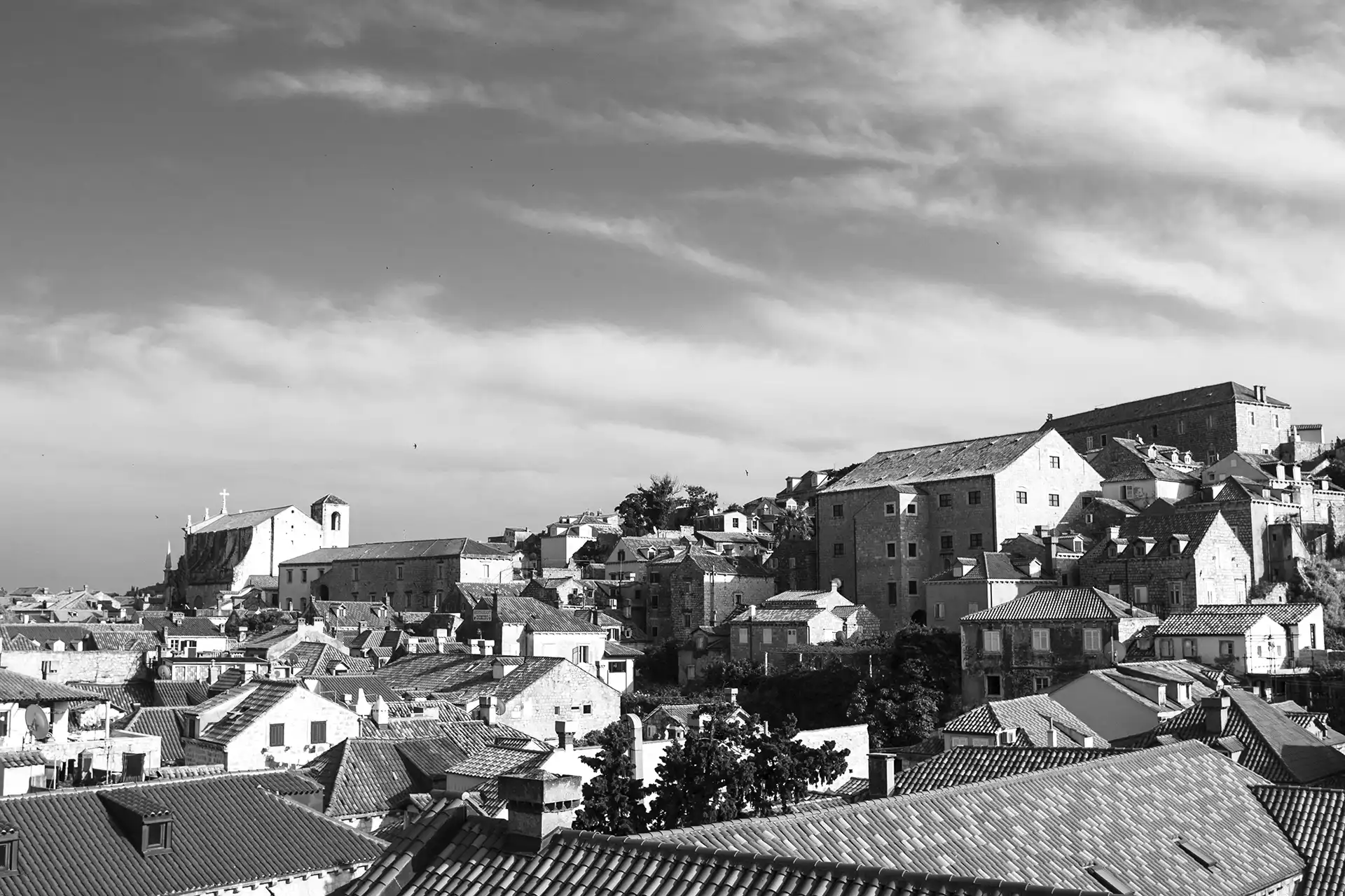 Gonçalo Cunha de Sá