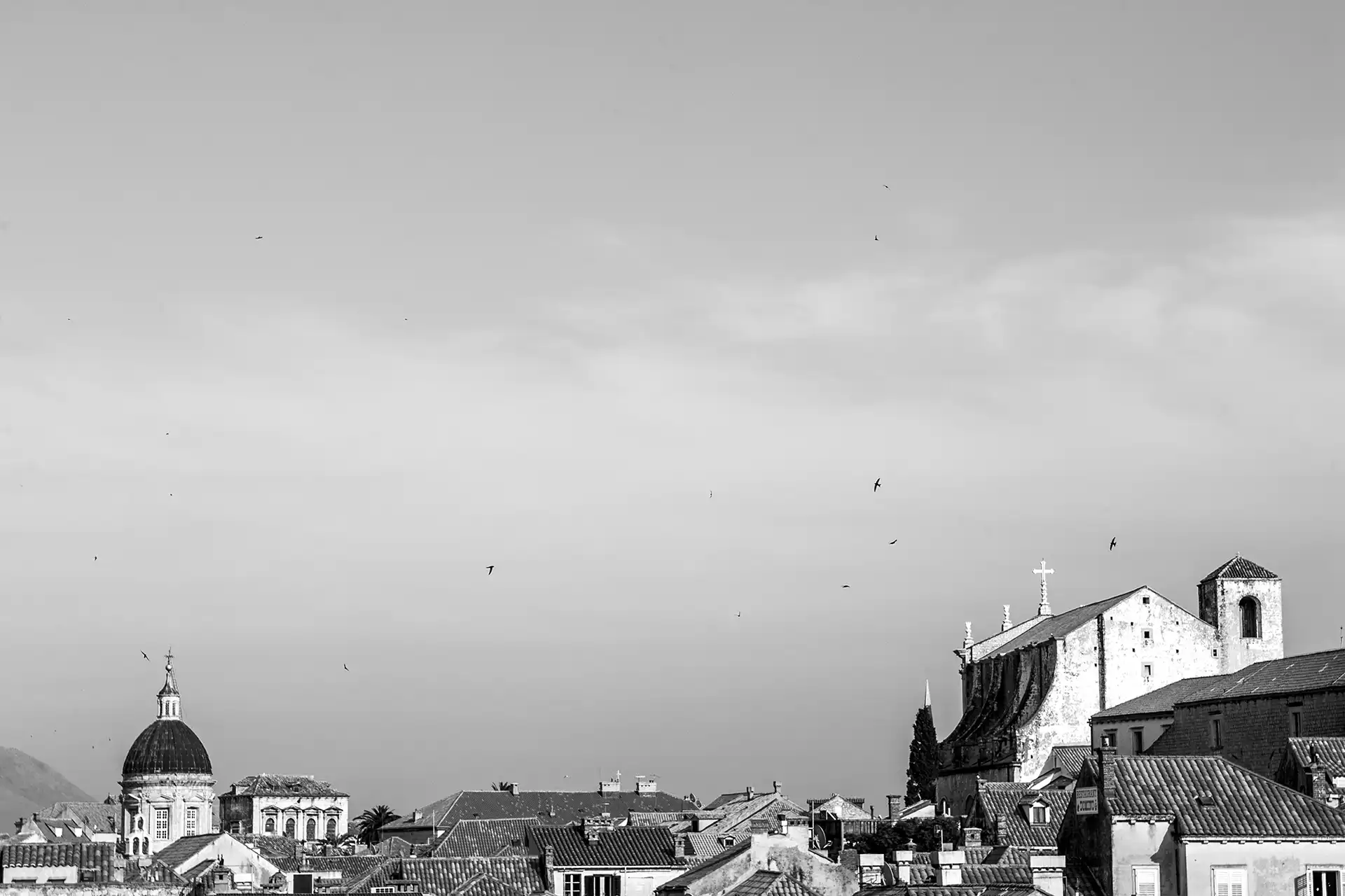 Gonçalo Cunha de Sá