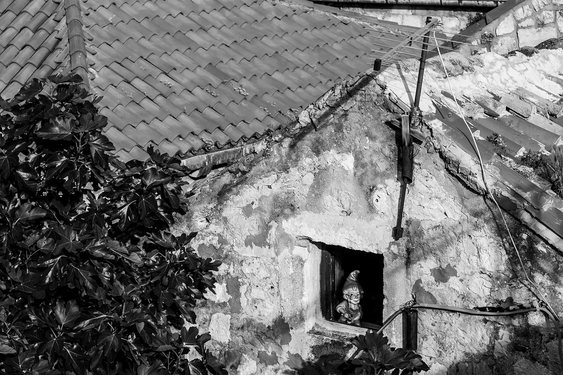 Gonçalo Cunha de Sá