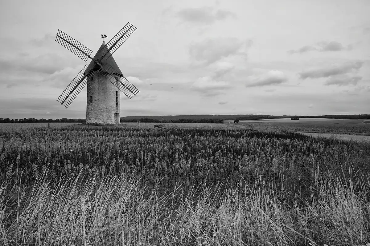 Gonçalo Cunha de Sá