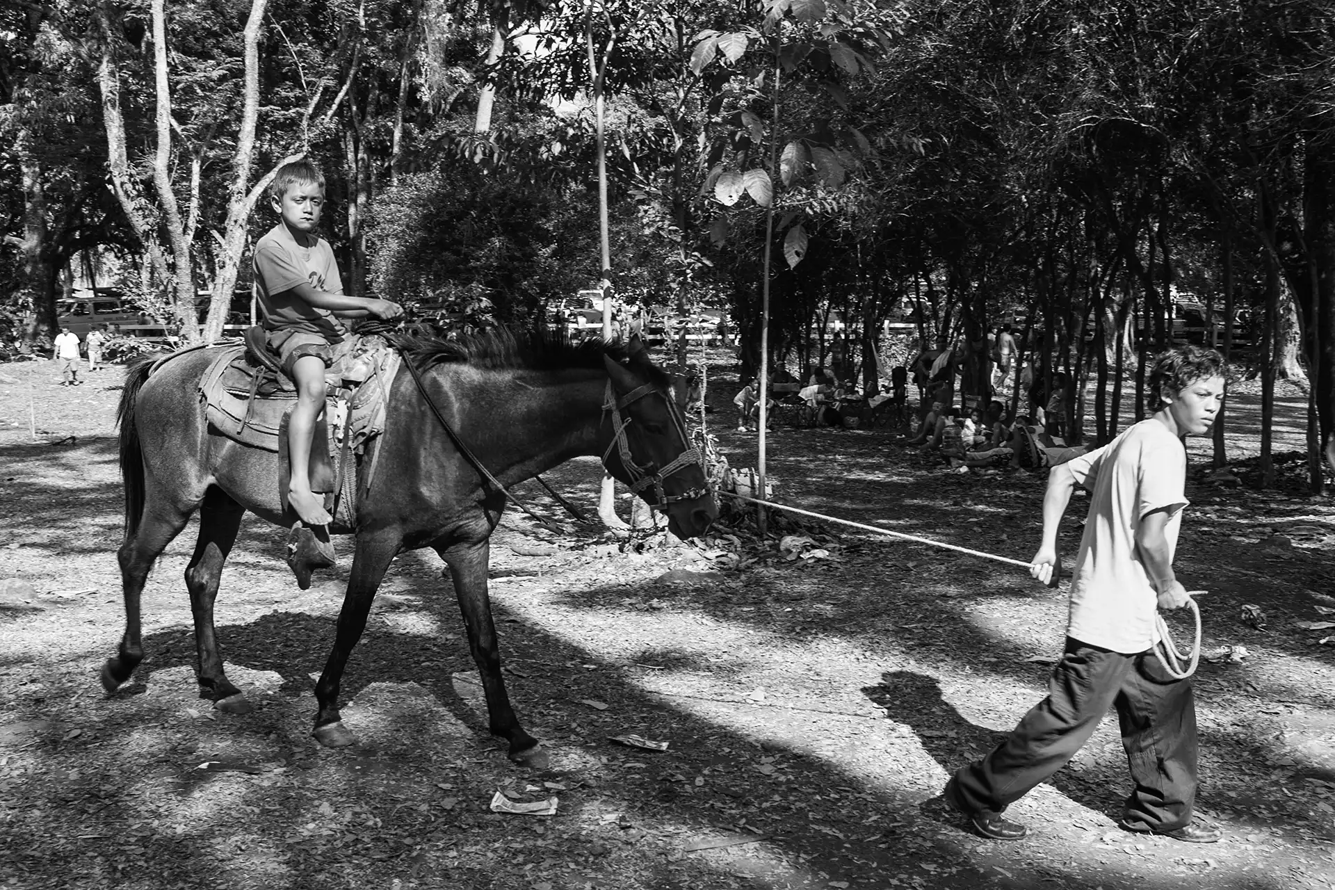 Gonçalo Cunha de Sá