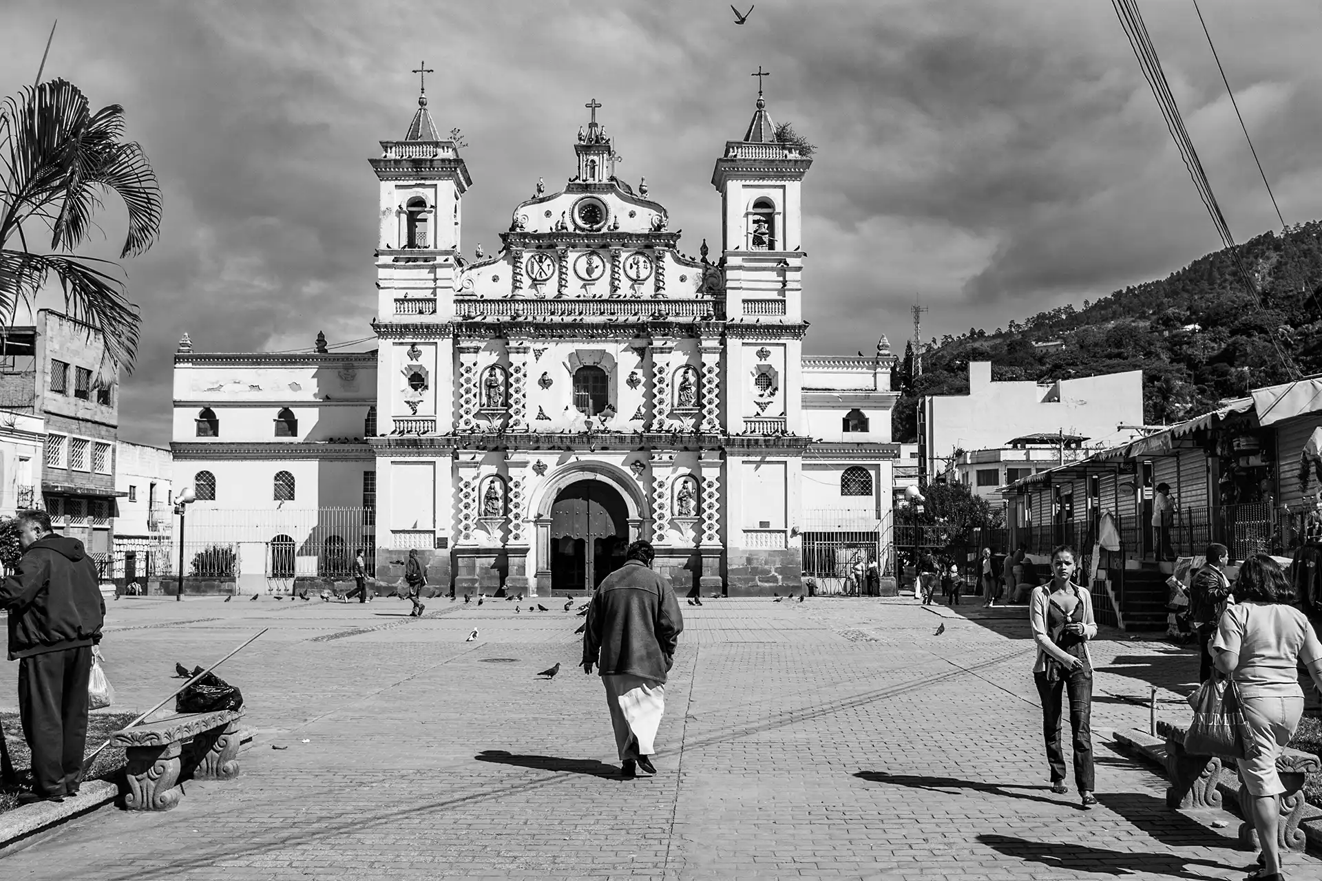 Gonçalo Cunha de Sá