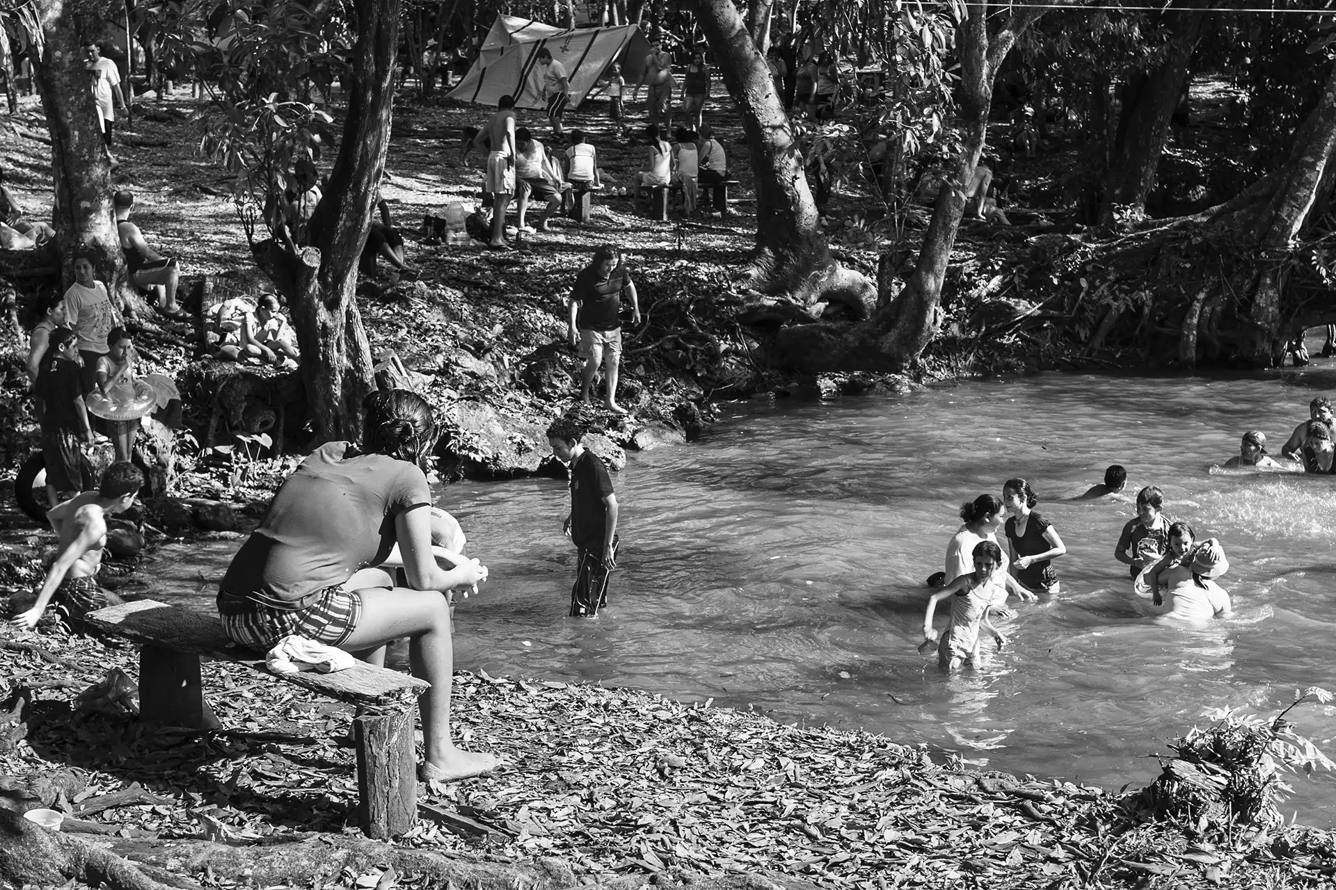 Gonçalo Cunha de Sá