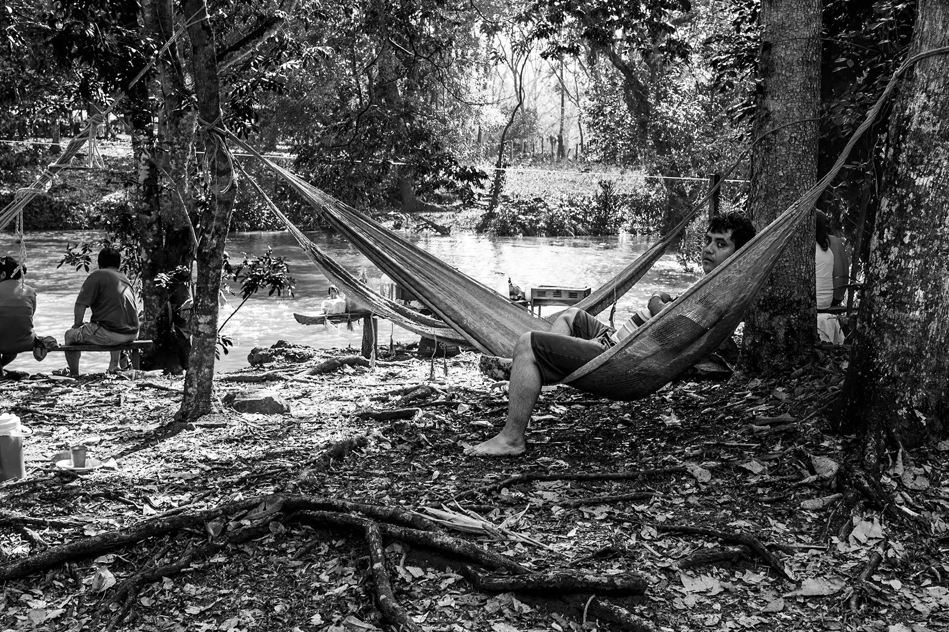 Gonçalo Cunha de Sá