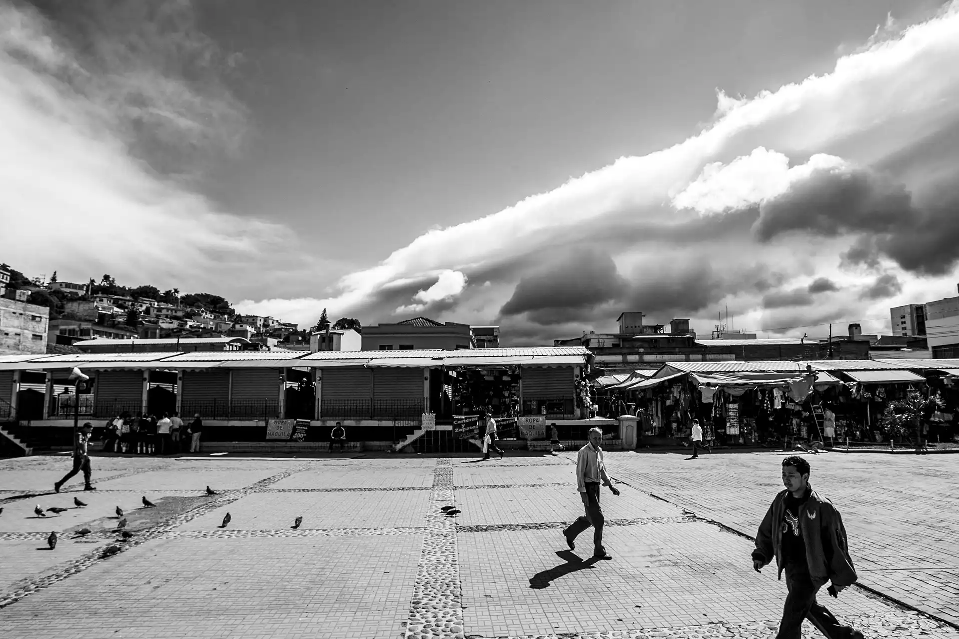 Gonçalo Cunha de Sá