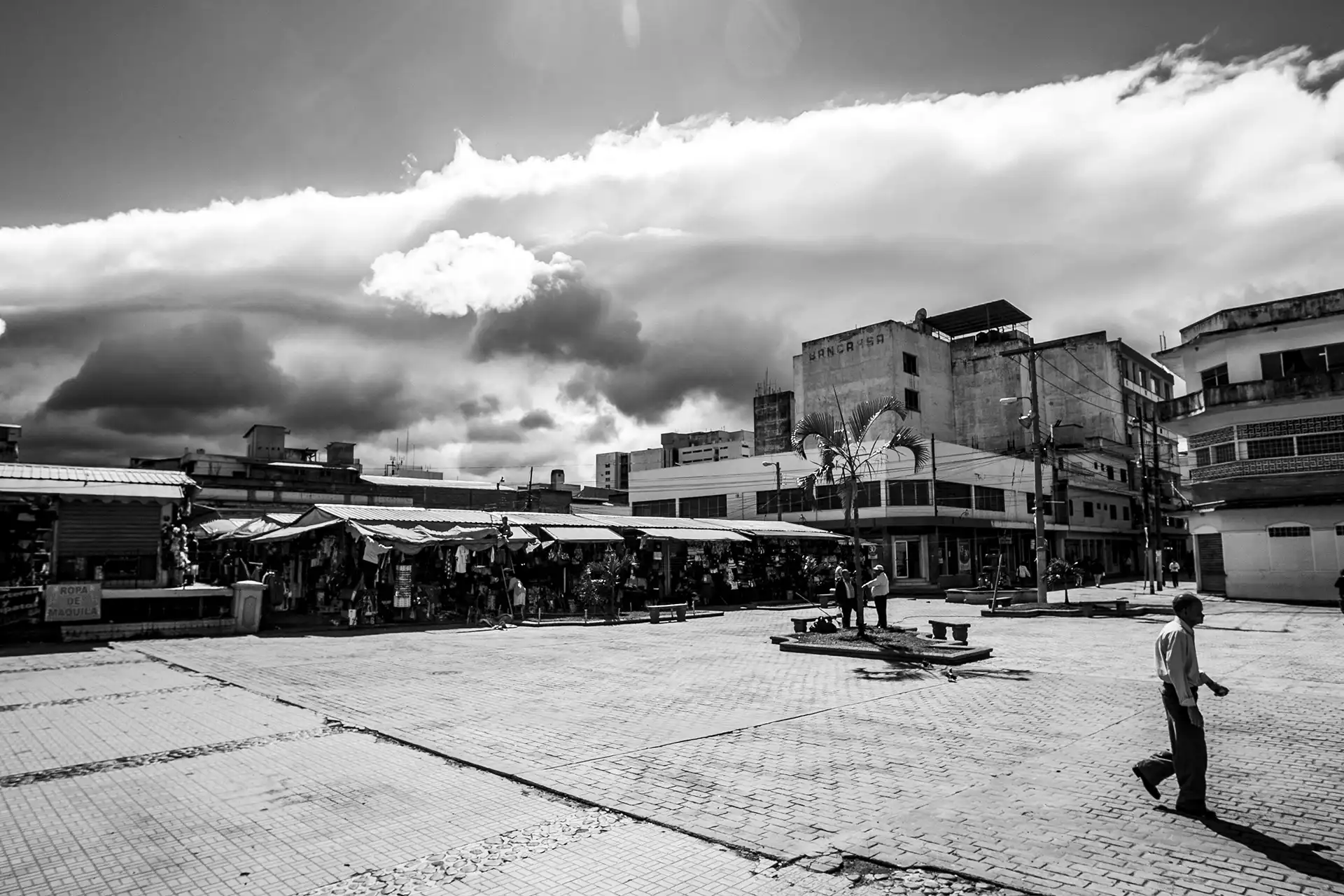 Gonçalo Cunha de Sá