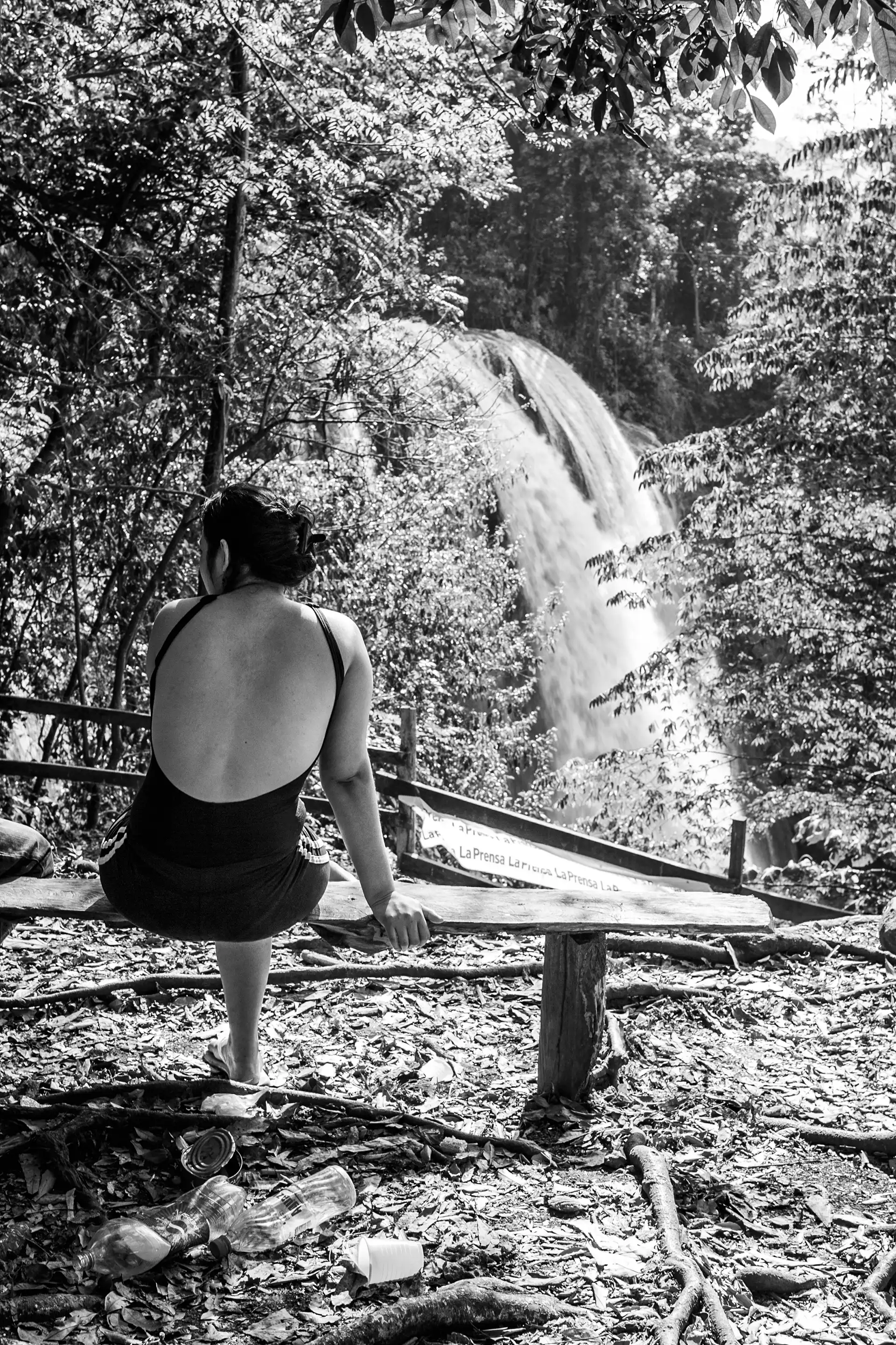 Gonçalo Cunha de Sá