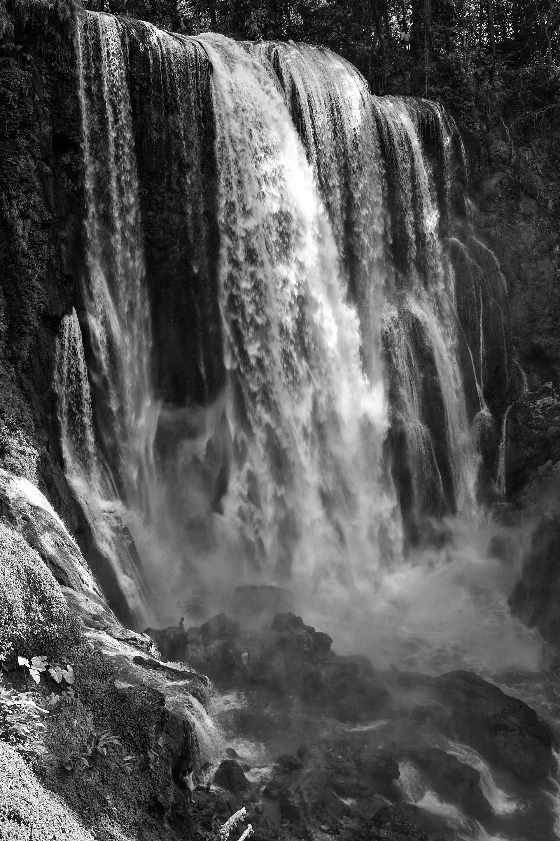 Gonçalo Cunha de Sá