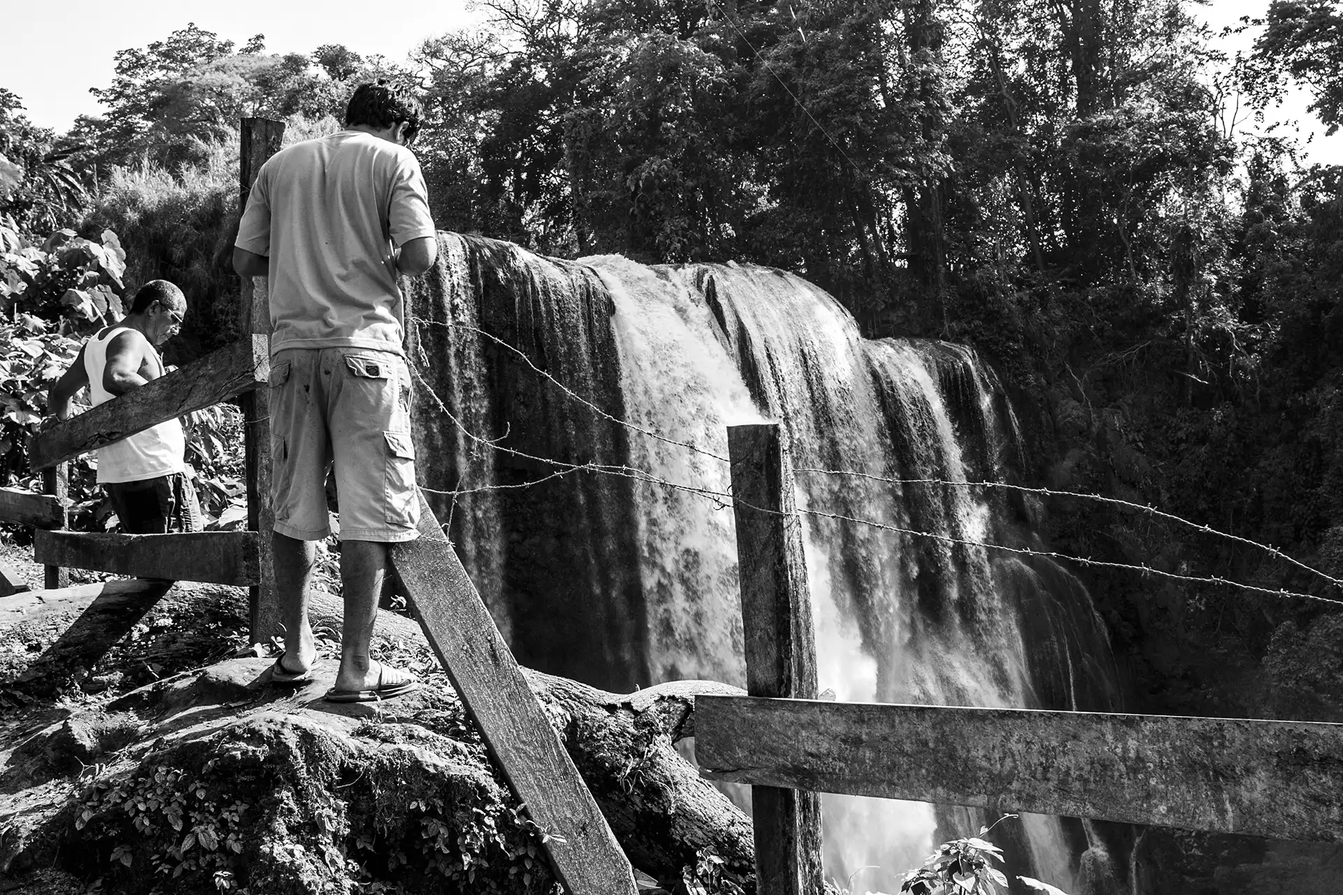 Gonçalo Cunha de Sá