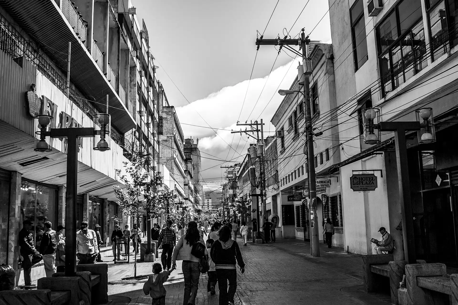 Gonçalo Cunha de Sá