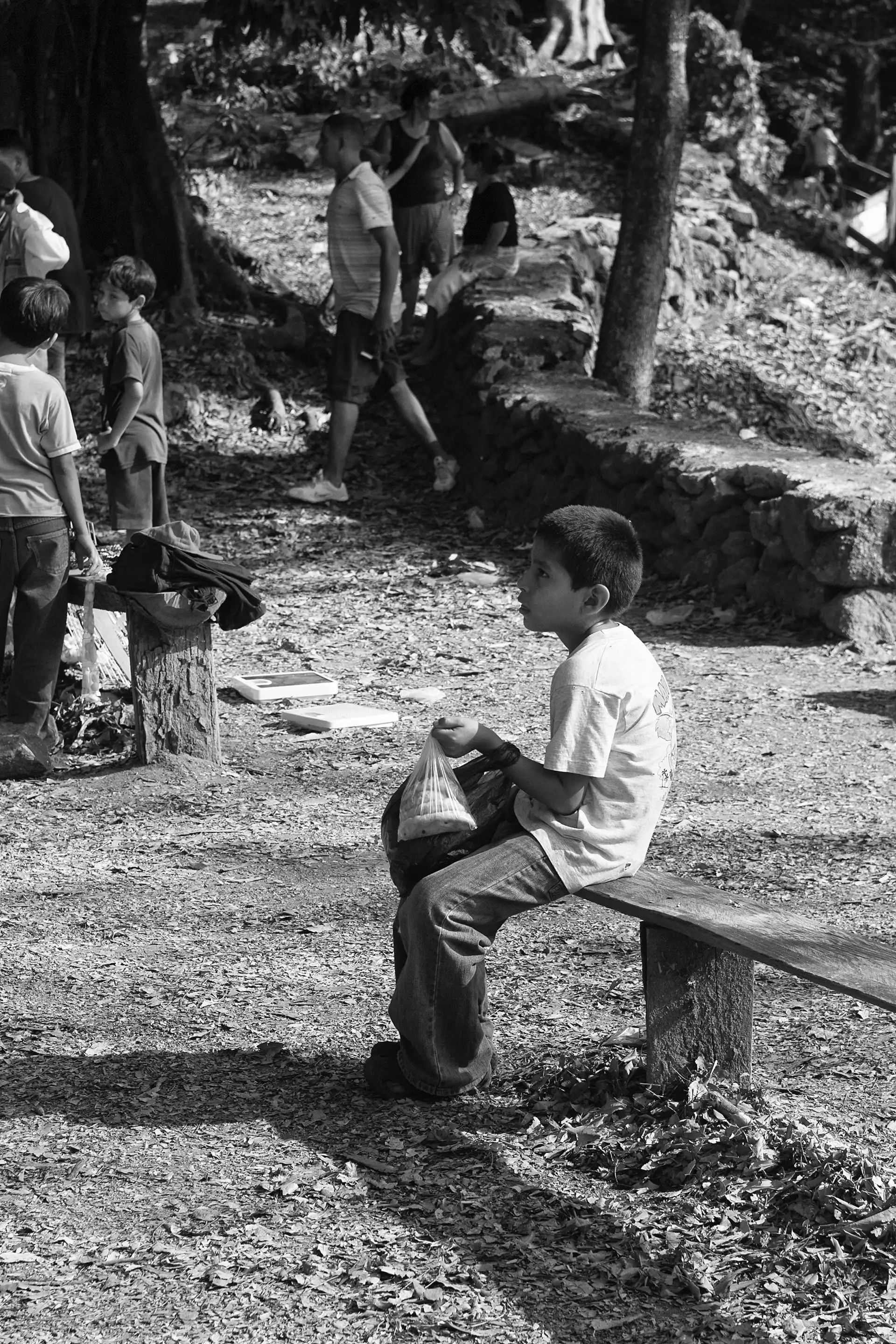 Gonçalo Cunha de Sá