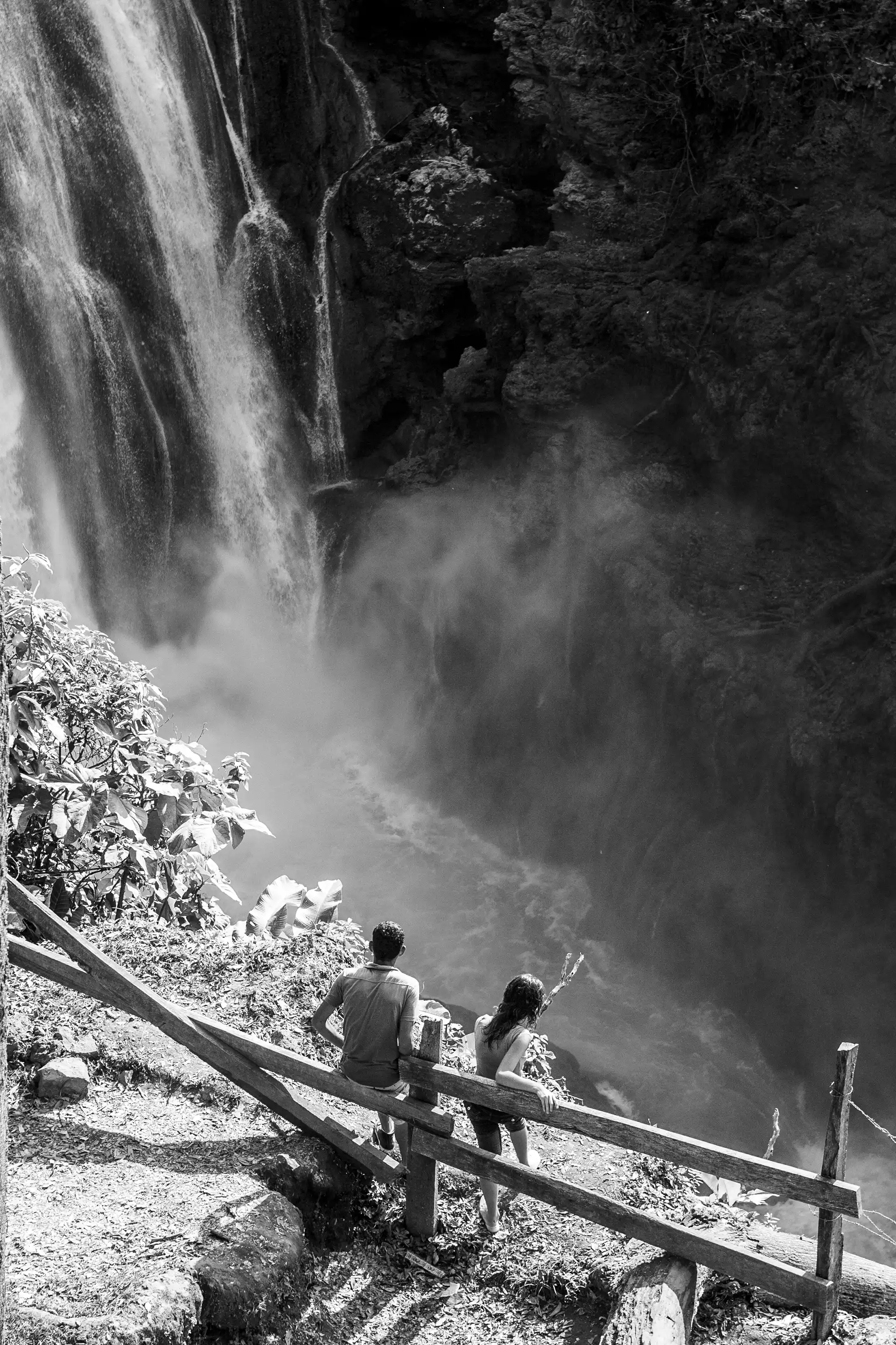 Gonçalo Cunha de Sá