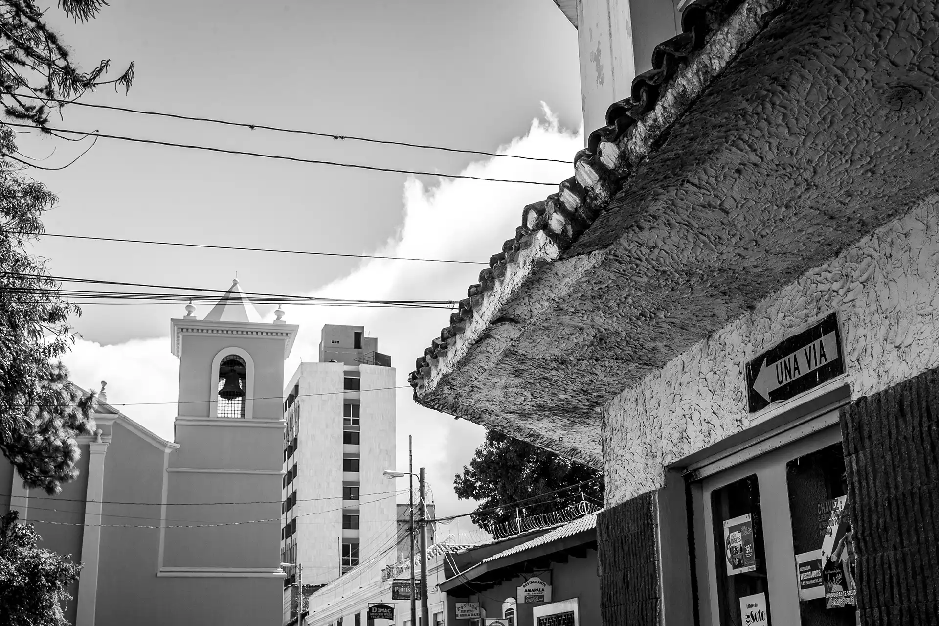 Gonçalo Cunha de Sá