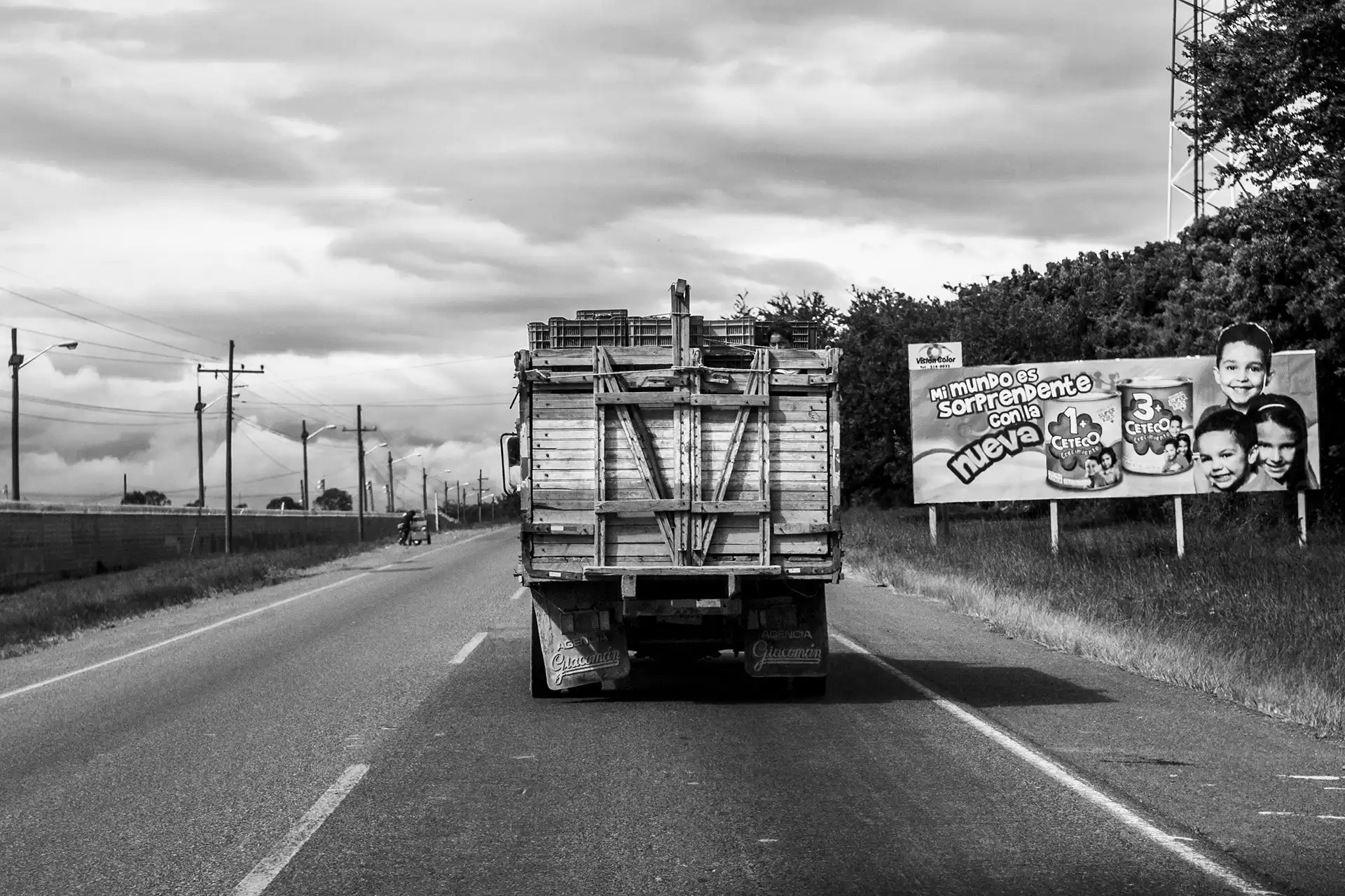 Gonçalo Cunha de Sá