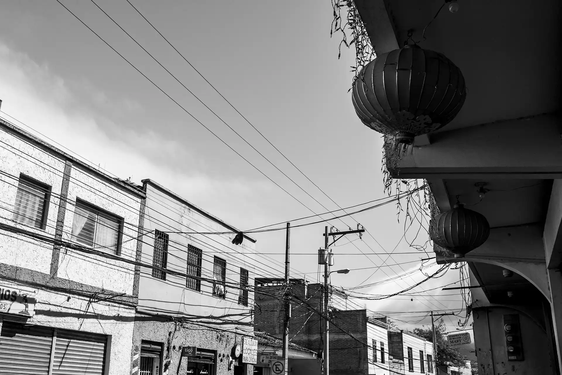 Gonçalo Cunha de Sá