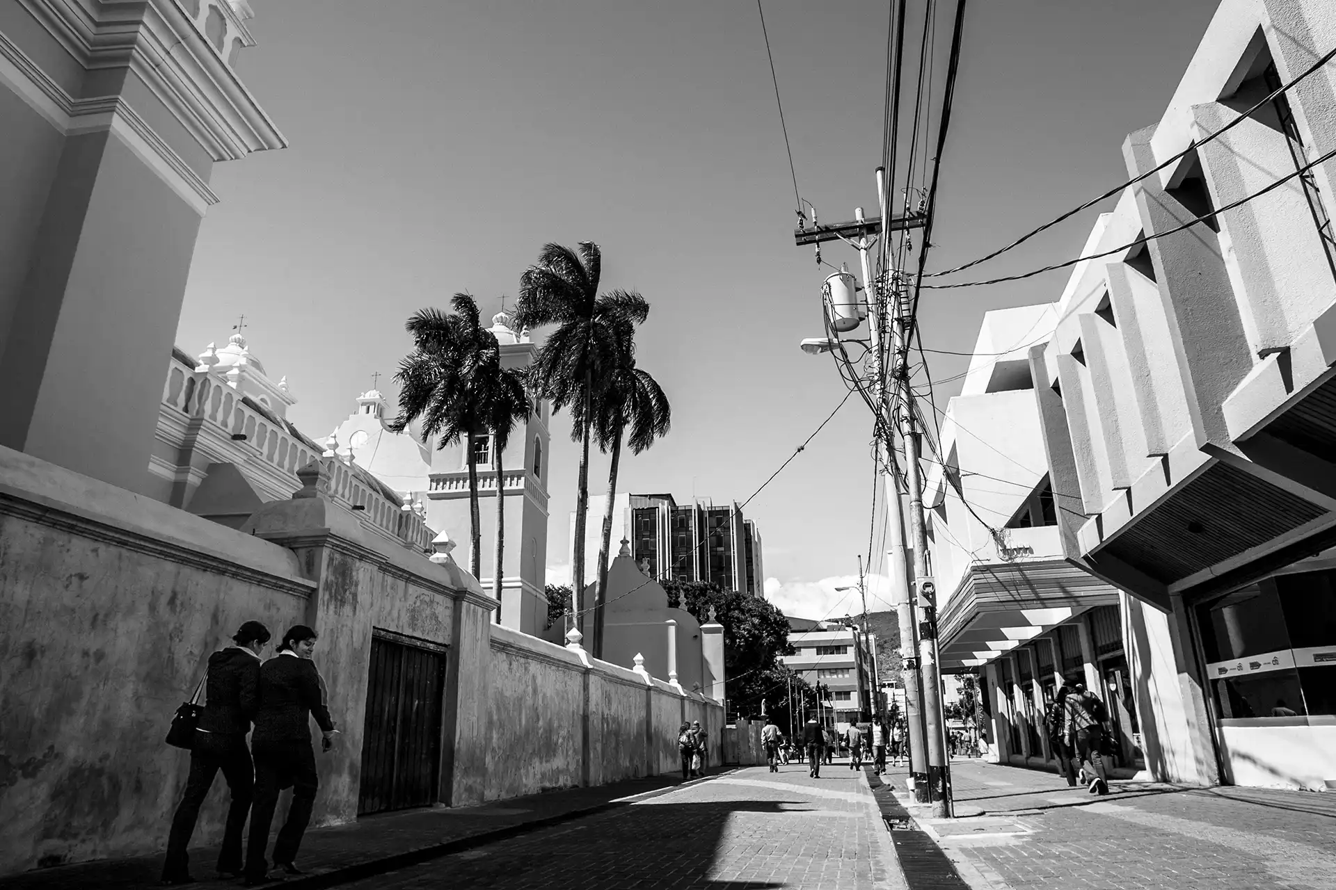 Gonçalo Cunha de Sá