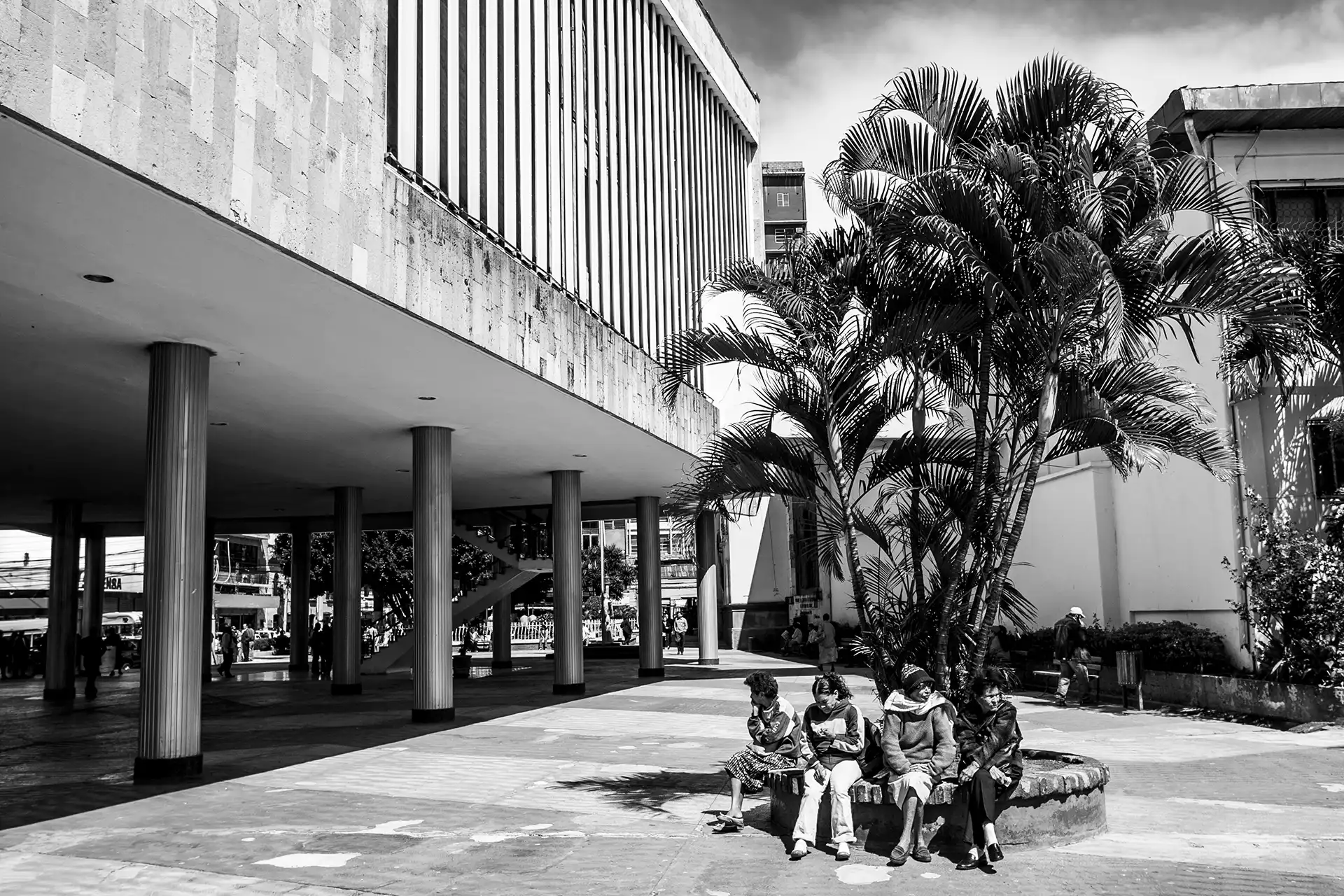 Gonçalo Cunha de Sá