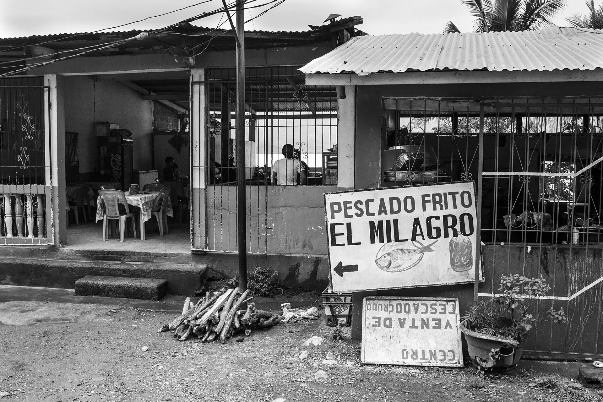 Gonçalo Cunha de Sá