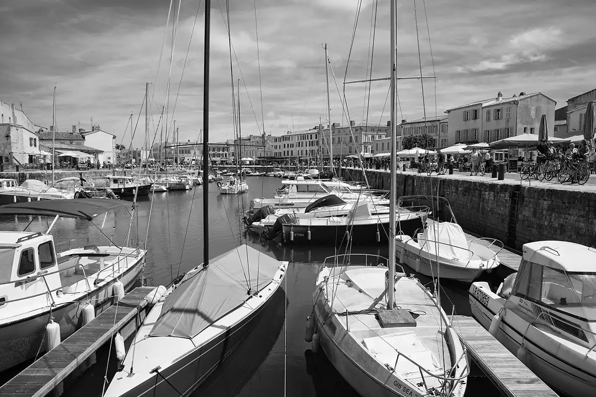 Gonçalo Cunha de Sá