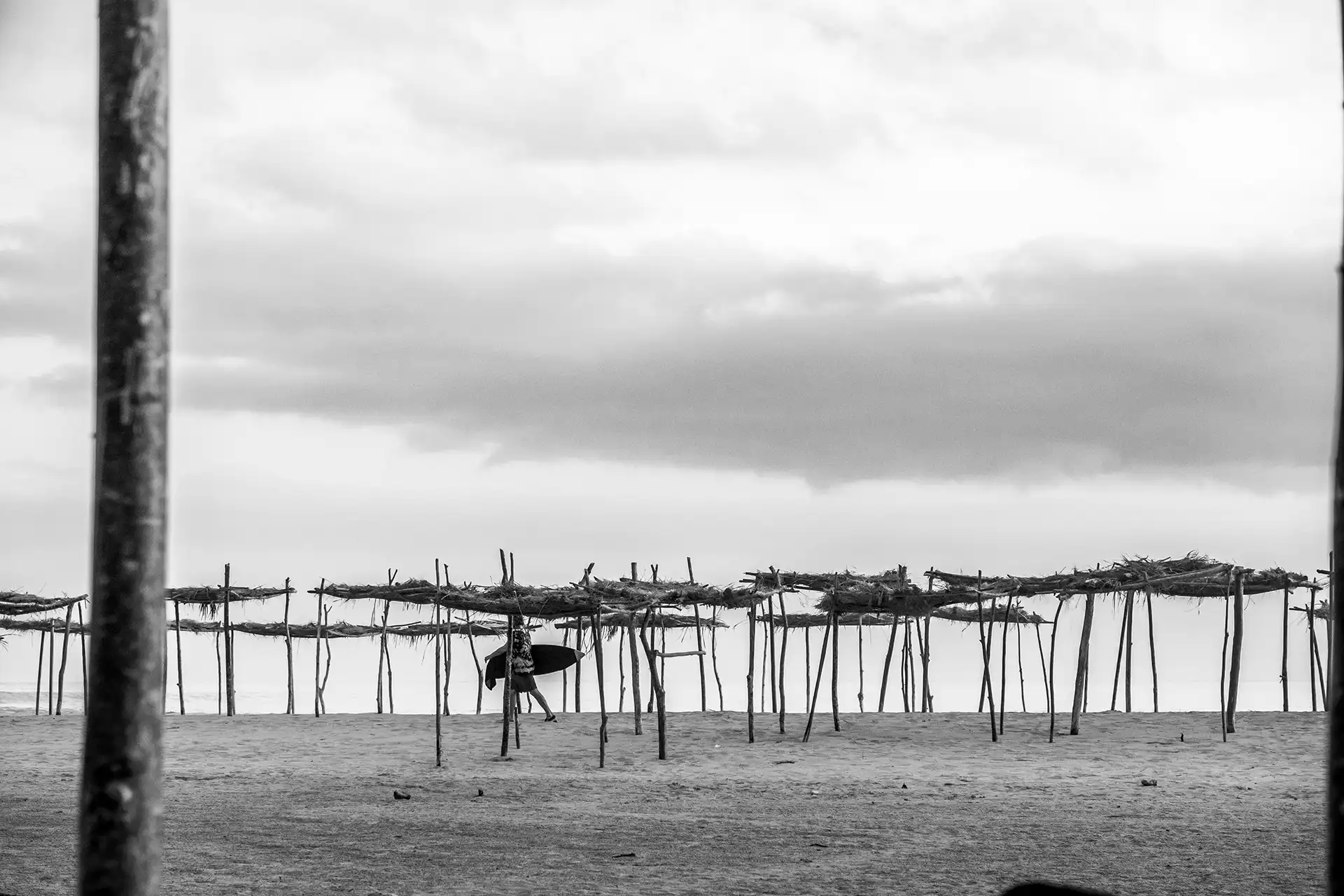 Gonçalo Cunha de Sá