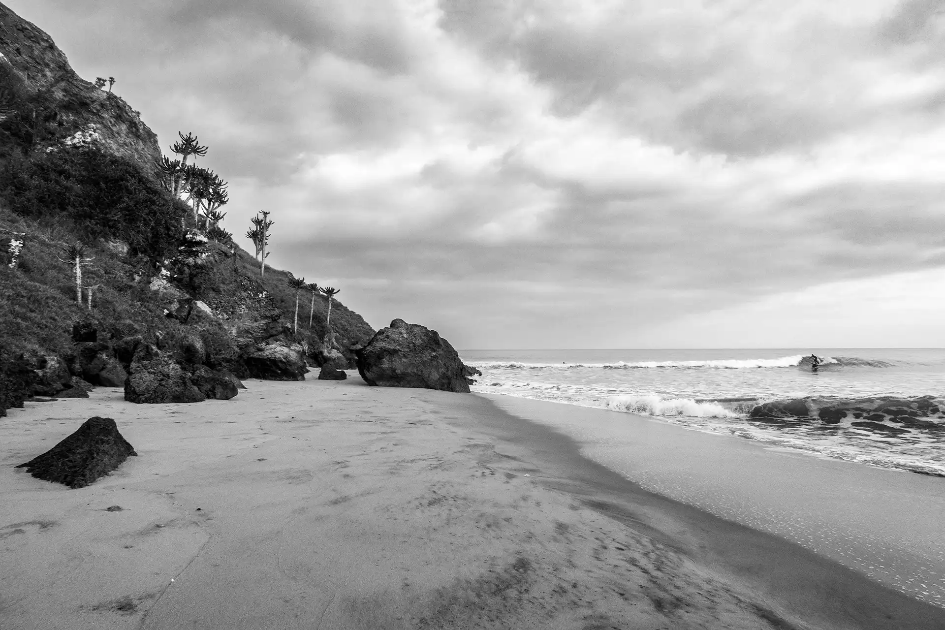 Gonçalo Cunha de Sá