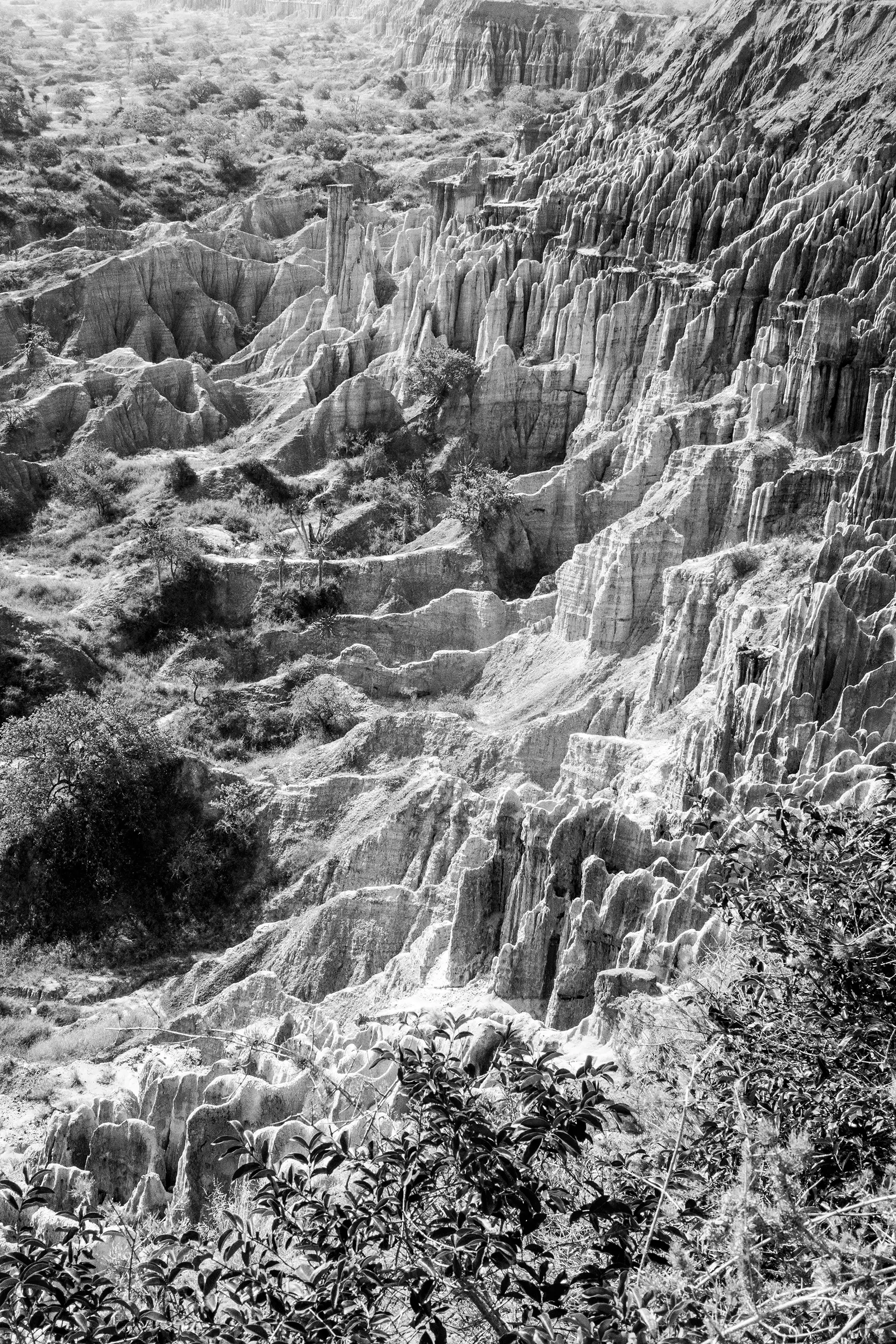 Gonçalo Cunha de Sá