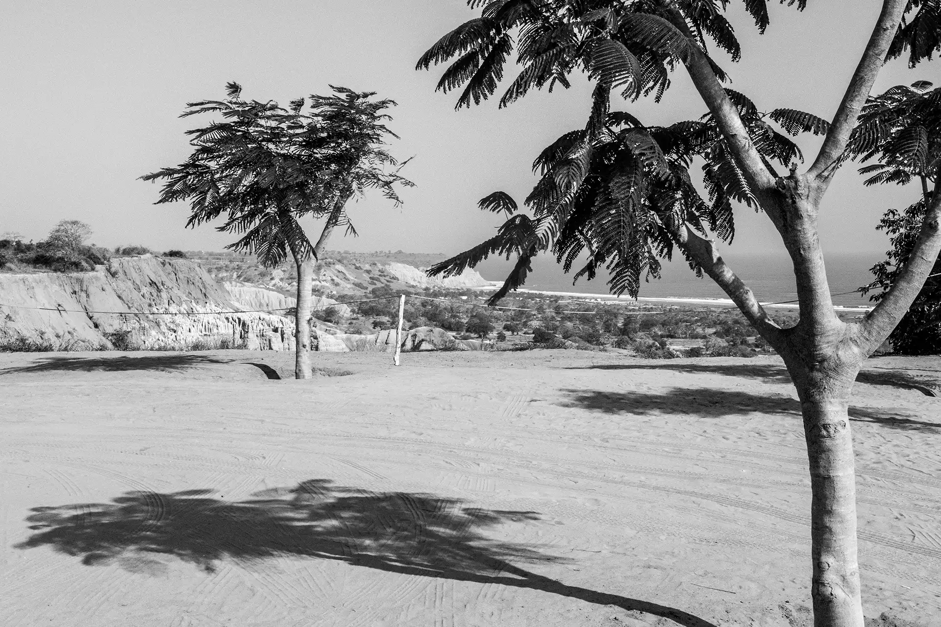 Gonçalo Cunha de Sá