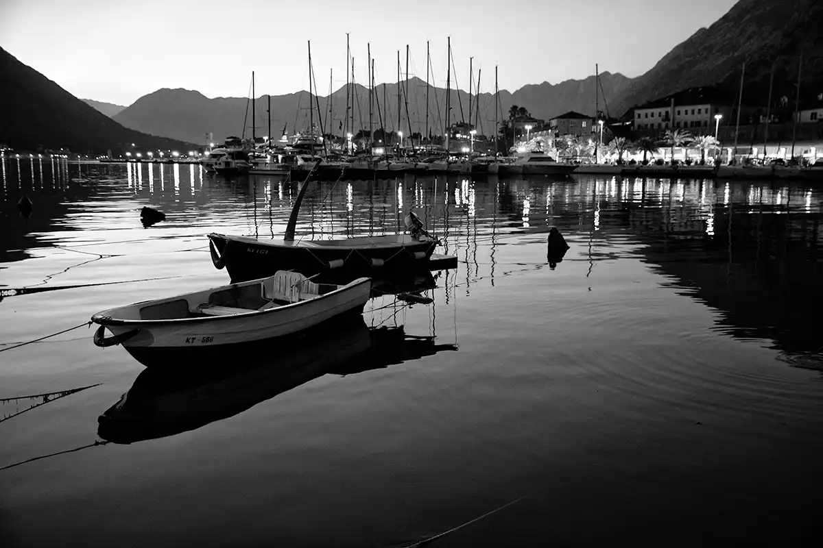 Gonçalo Cunha de Sá