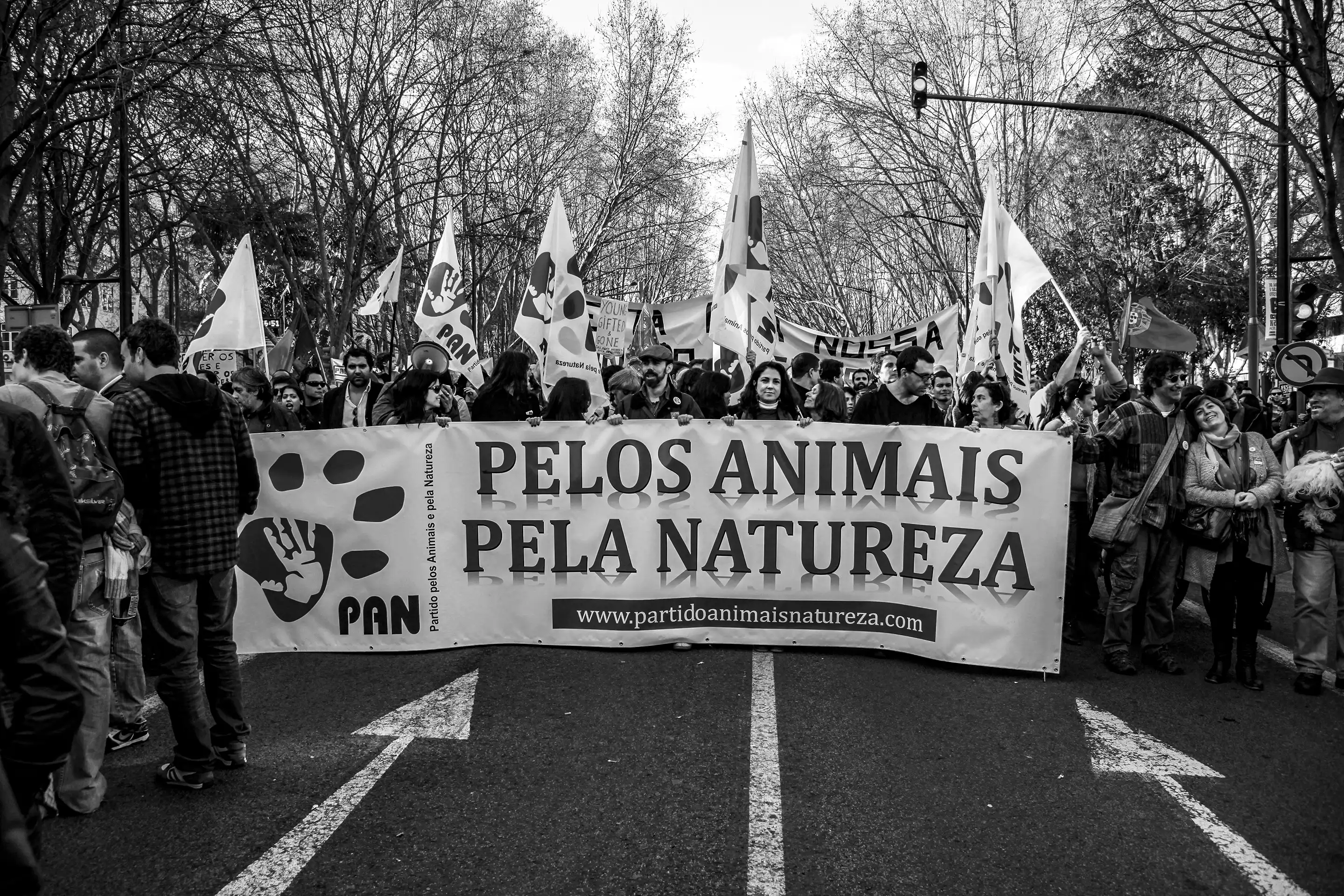 Gonçalo Cunha de Sá