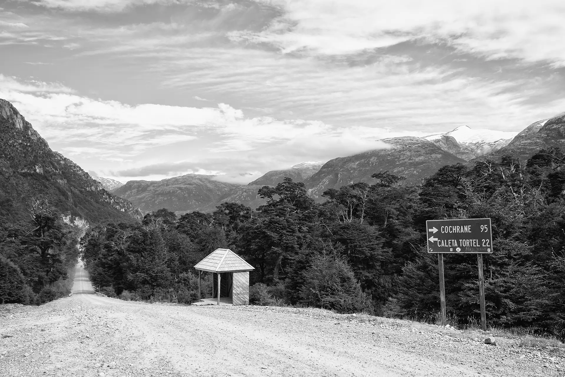Gonçalo Cunha de Sá