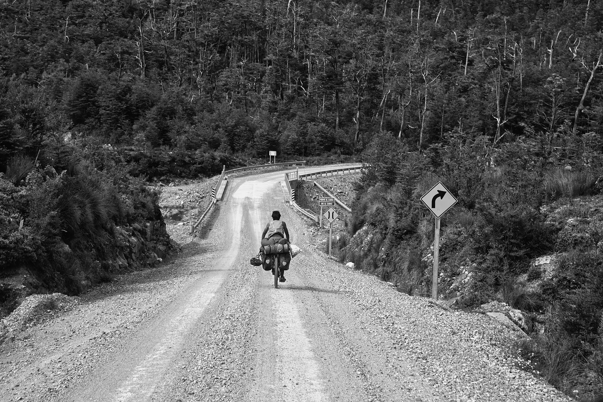 Gonçalo Cunha de Sá