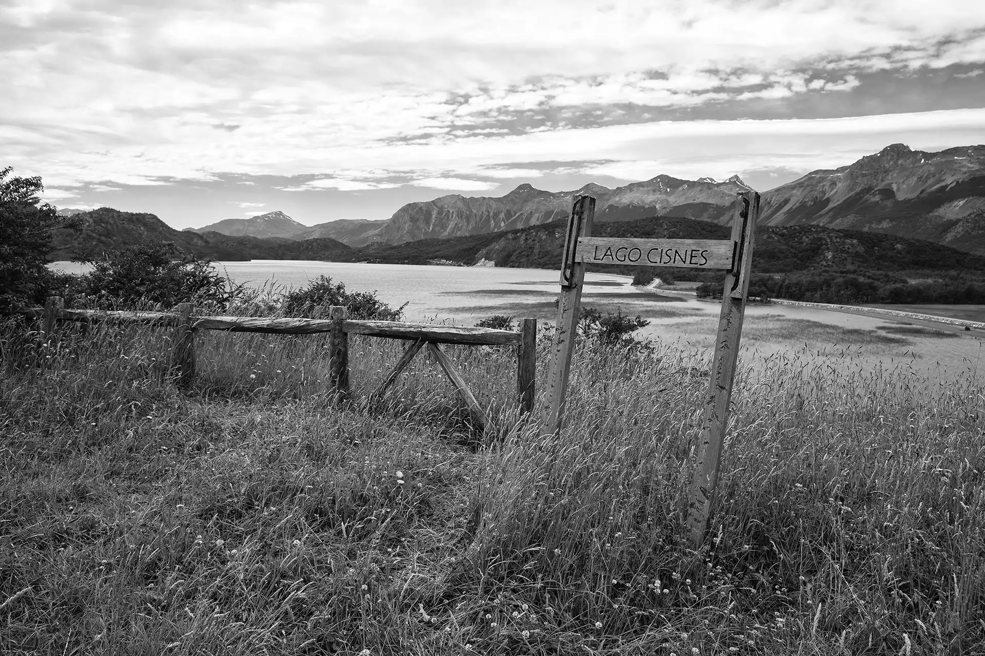 Gonçalo Cunha de Sá