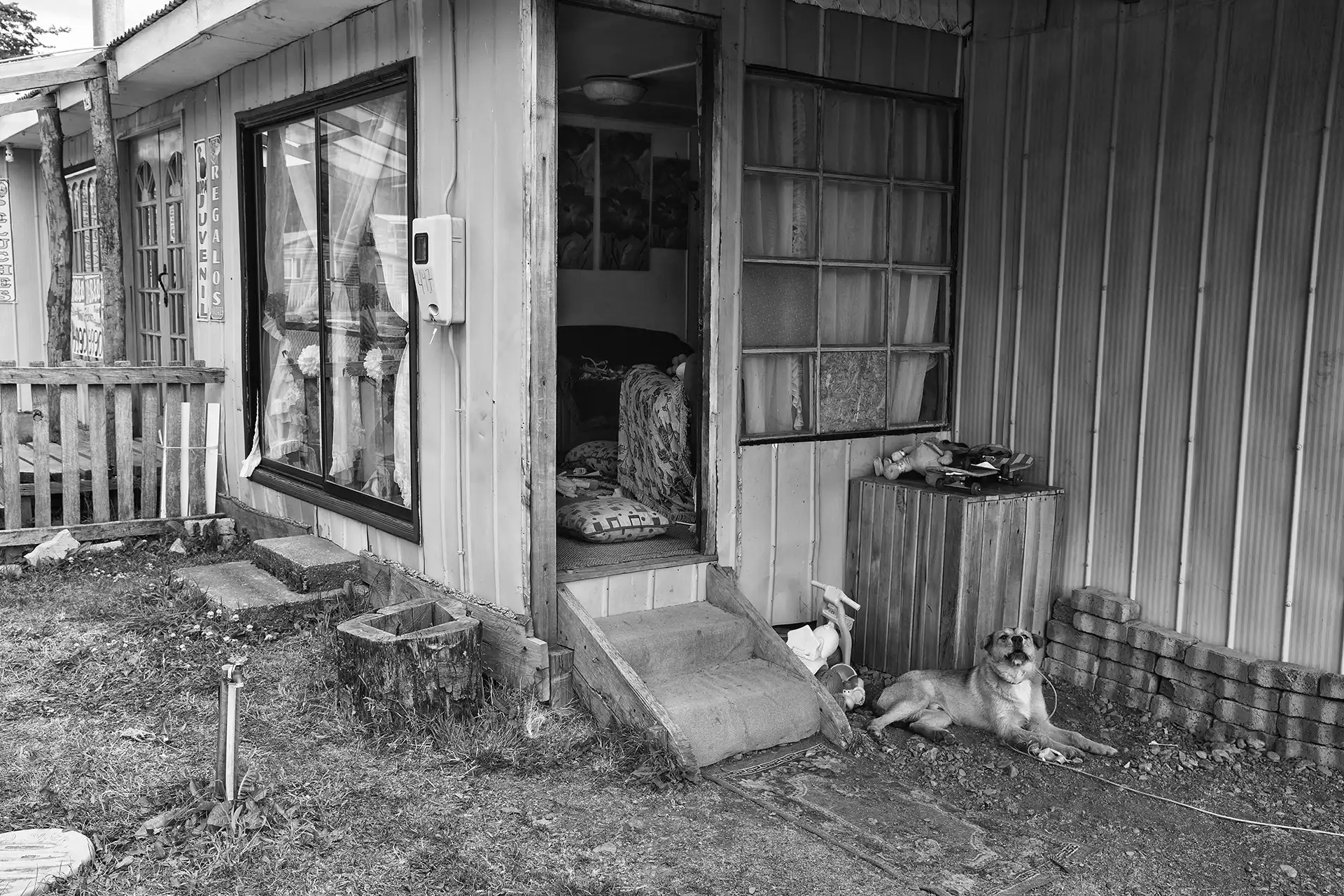 Gonçalo Cunha de Sá
