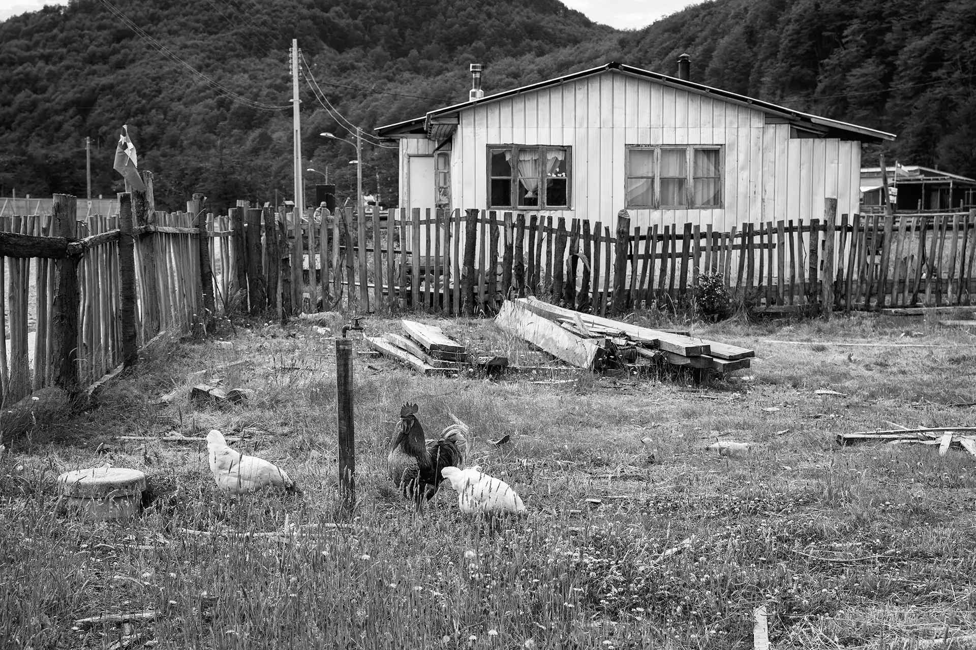 Gonçalo Cunha de Sá