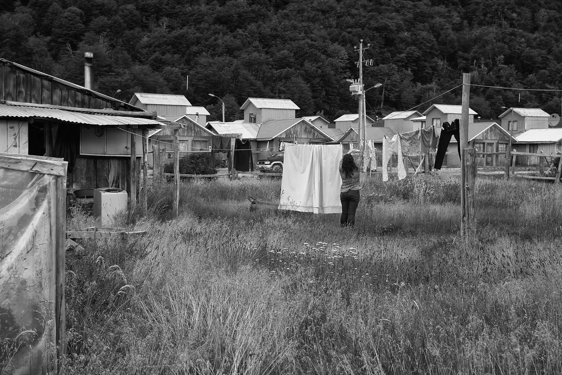 Gonçalo Cunha de Sá