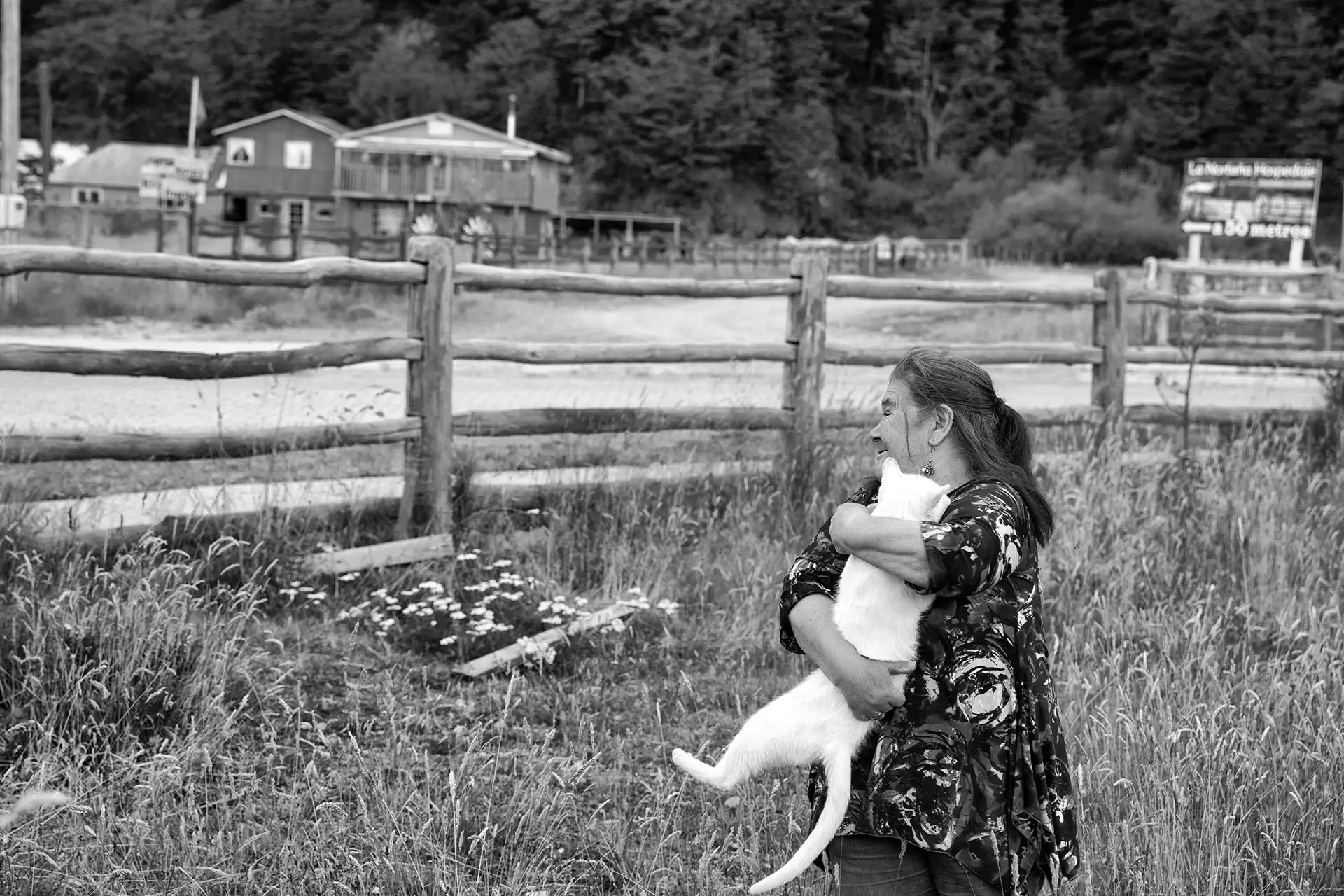 Gonçalo Cunha de Sá