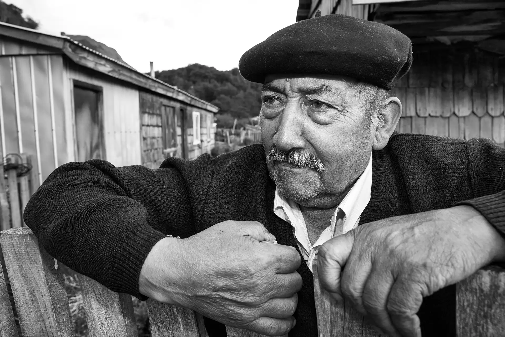 Gonçalo Cunha de Sá