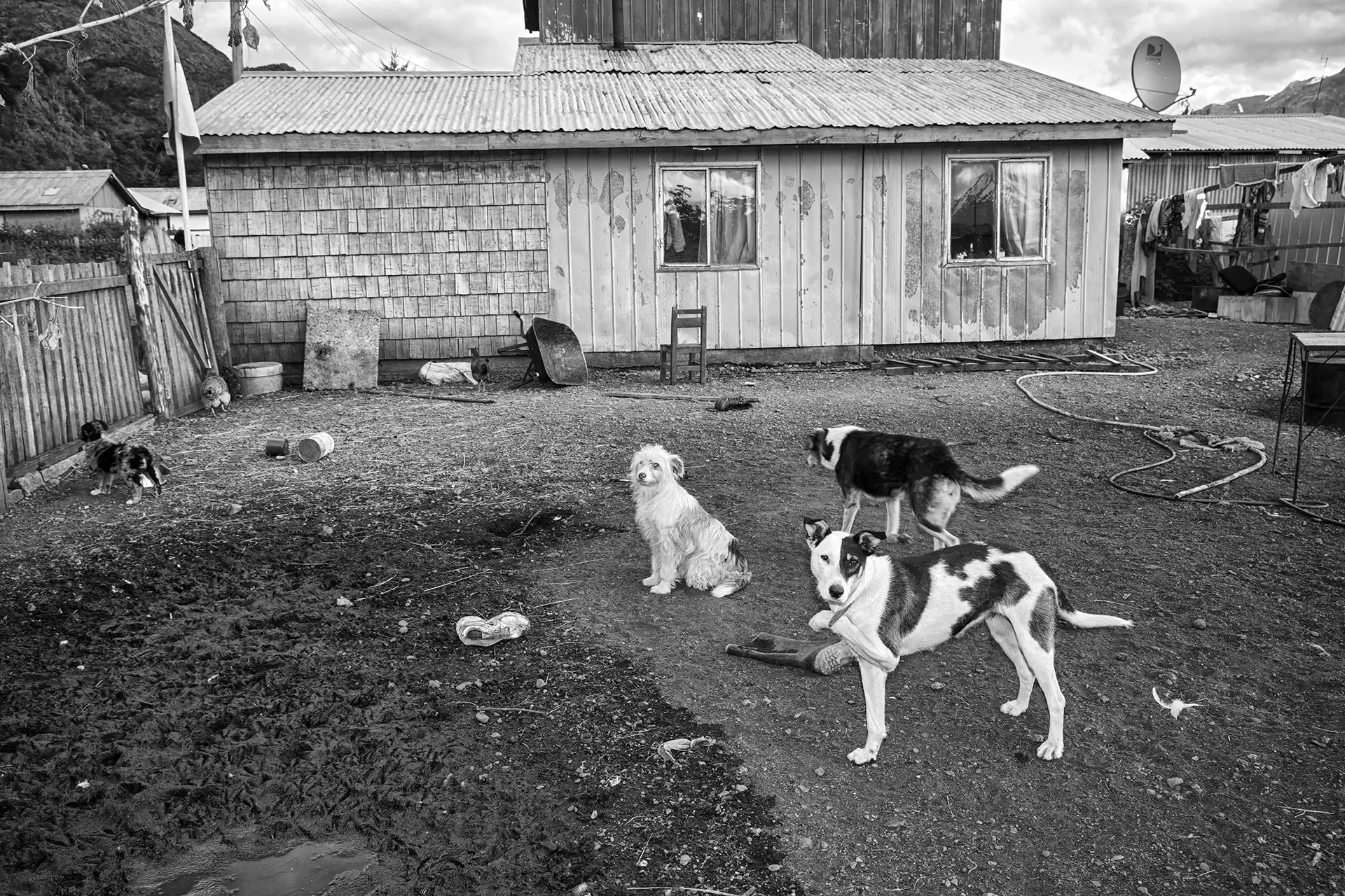 Gonçalo Cunha de Sá