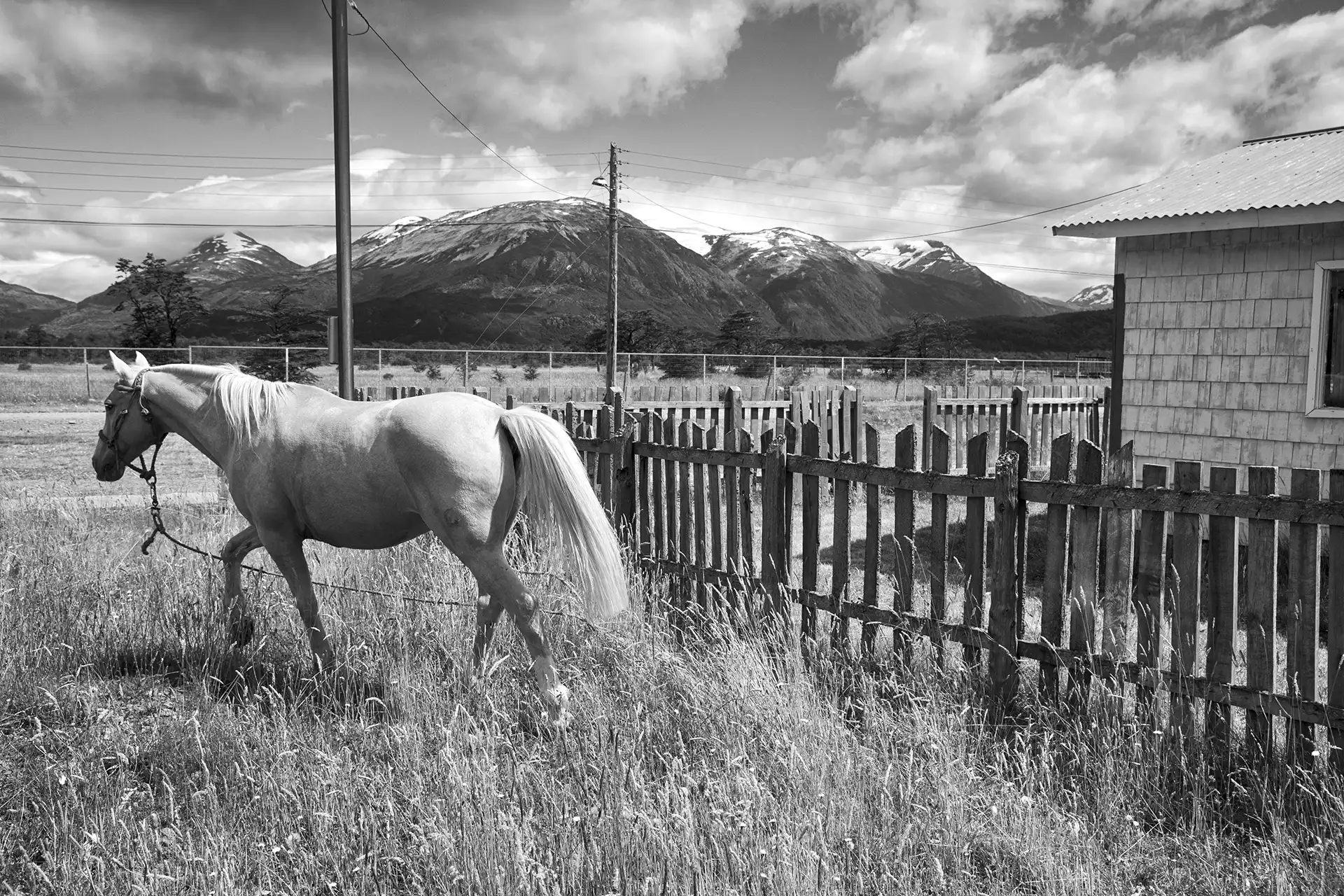 Gonçalo Cunha de Sá