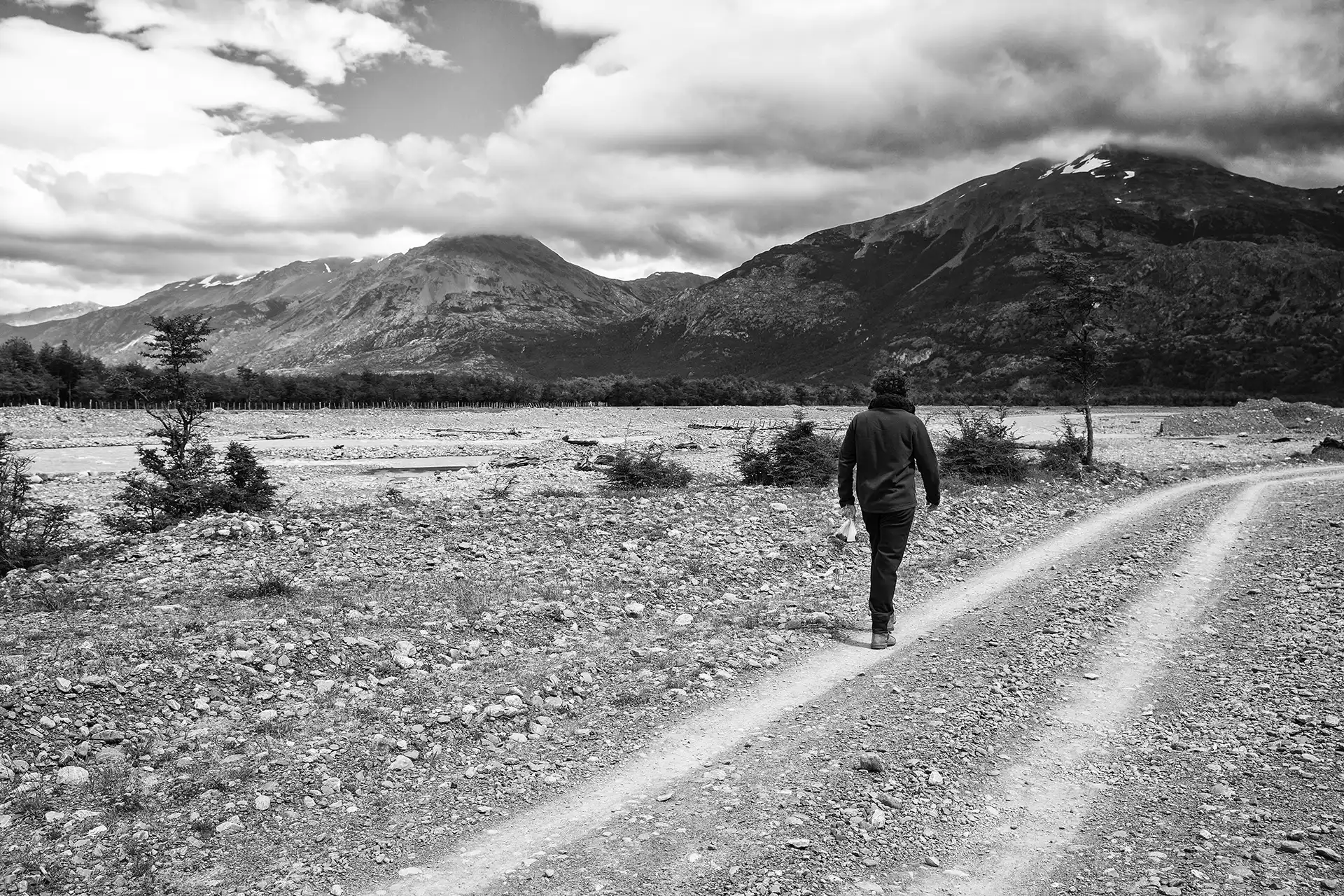 Gonçalo Cunha de Sá