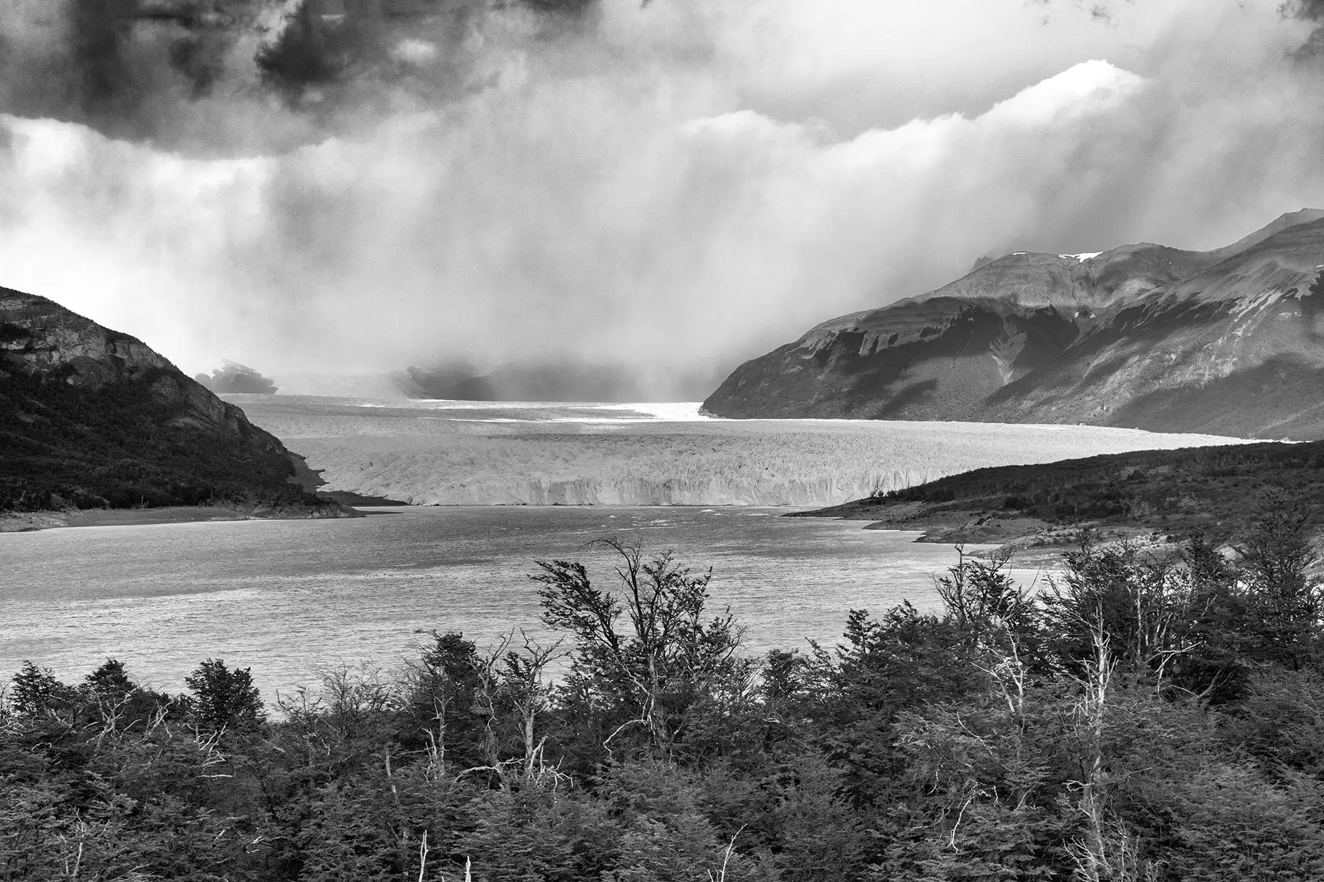 Gonçalo Cunha de Sá