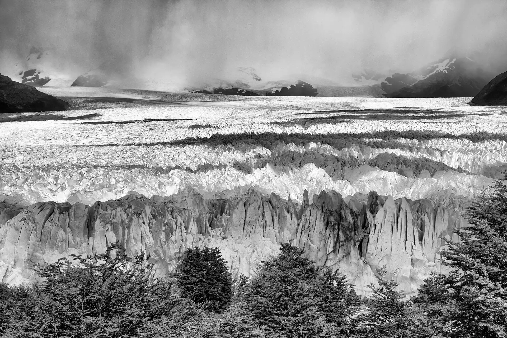 Gonçalo Cunha de Sá